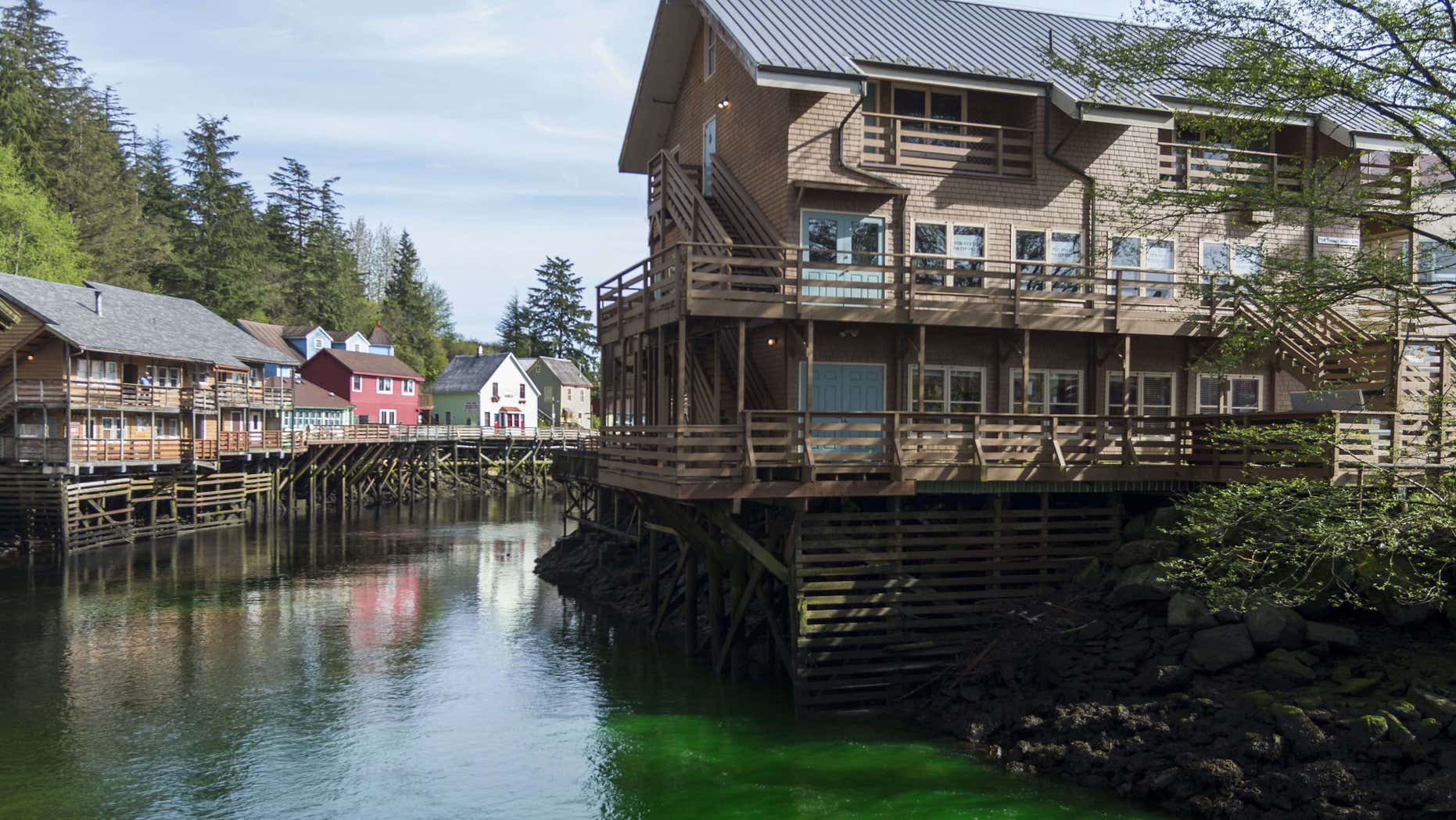 April 20, 2016: Green dye makes its way through Ketchikan Creek in Ketchikan, Alaska.