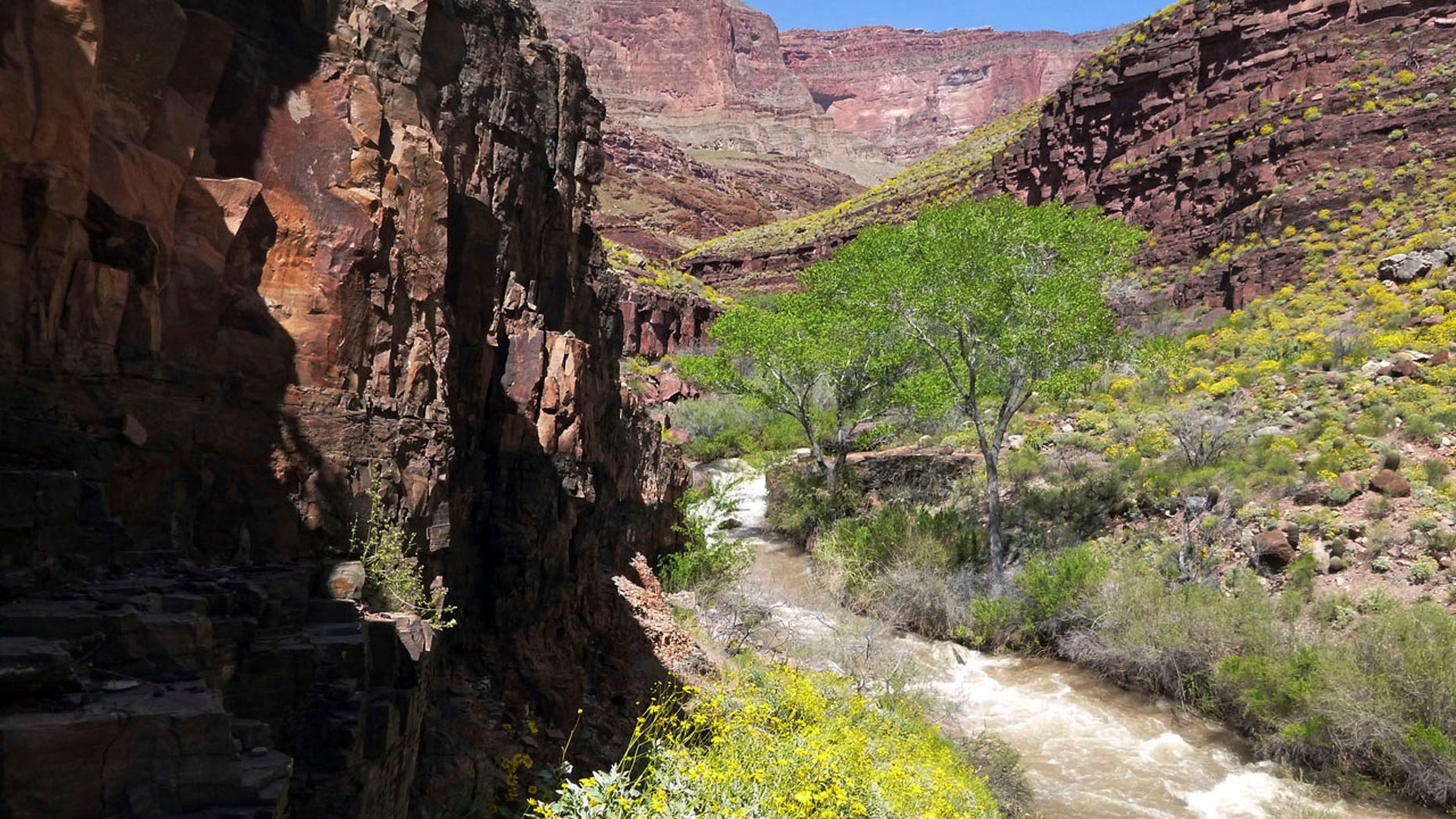 This Sunday, April 16, 2017, photo provided by the National Park Service shows Tapeats Creek in Grand Canyon National Park in Arizona.