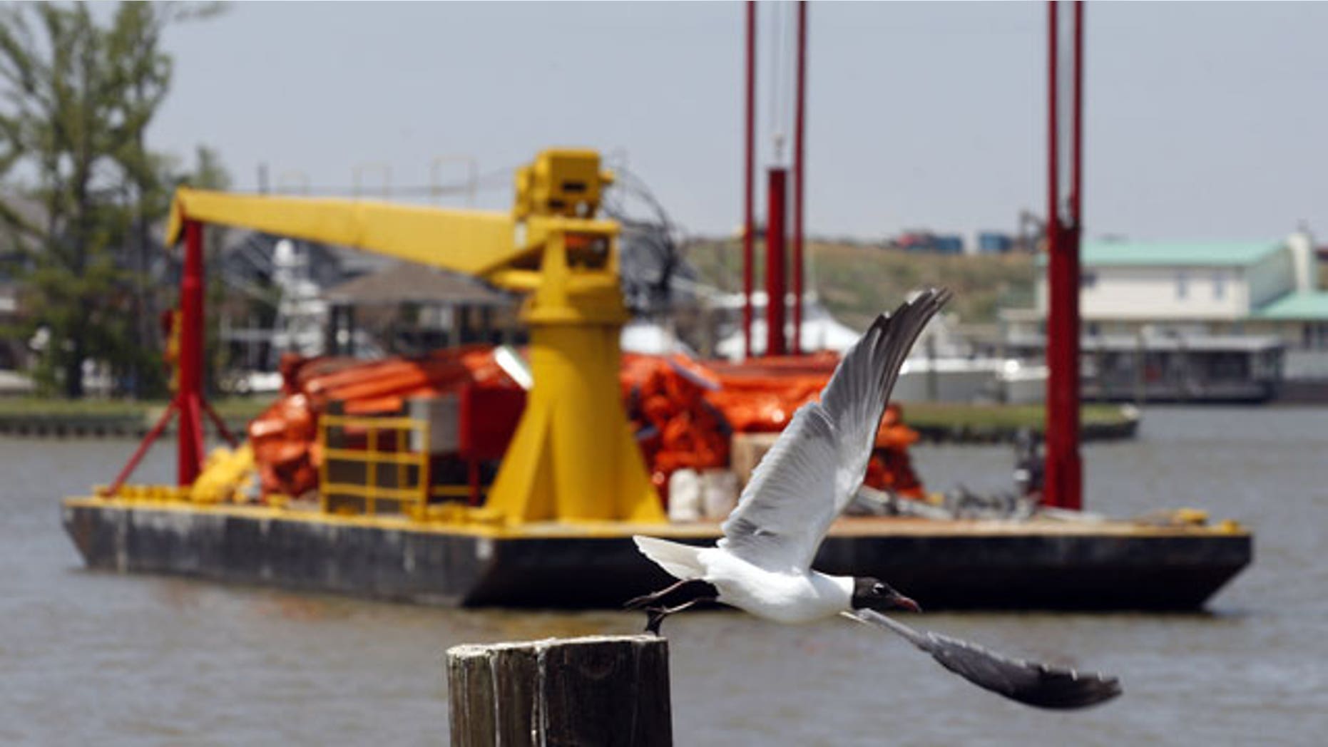 A bird flies off of a post near a barge carrying oil booms to be deployed to assist in the containment of oil from a leaking pipeline in the Gulf of Mexico near the coast of Louisiana in Venice, La., Thursday, April 29, 2010. The leak resulted from last week's explosion and collapse of the Deepwater Horizon oil rig.