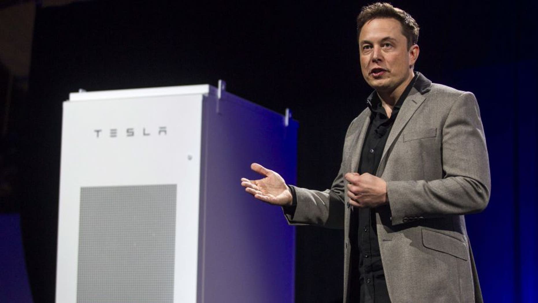 Tesla CEO Elon Musk is pictured.