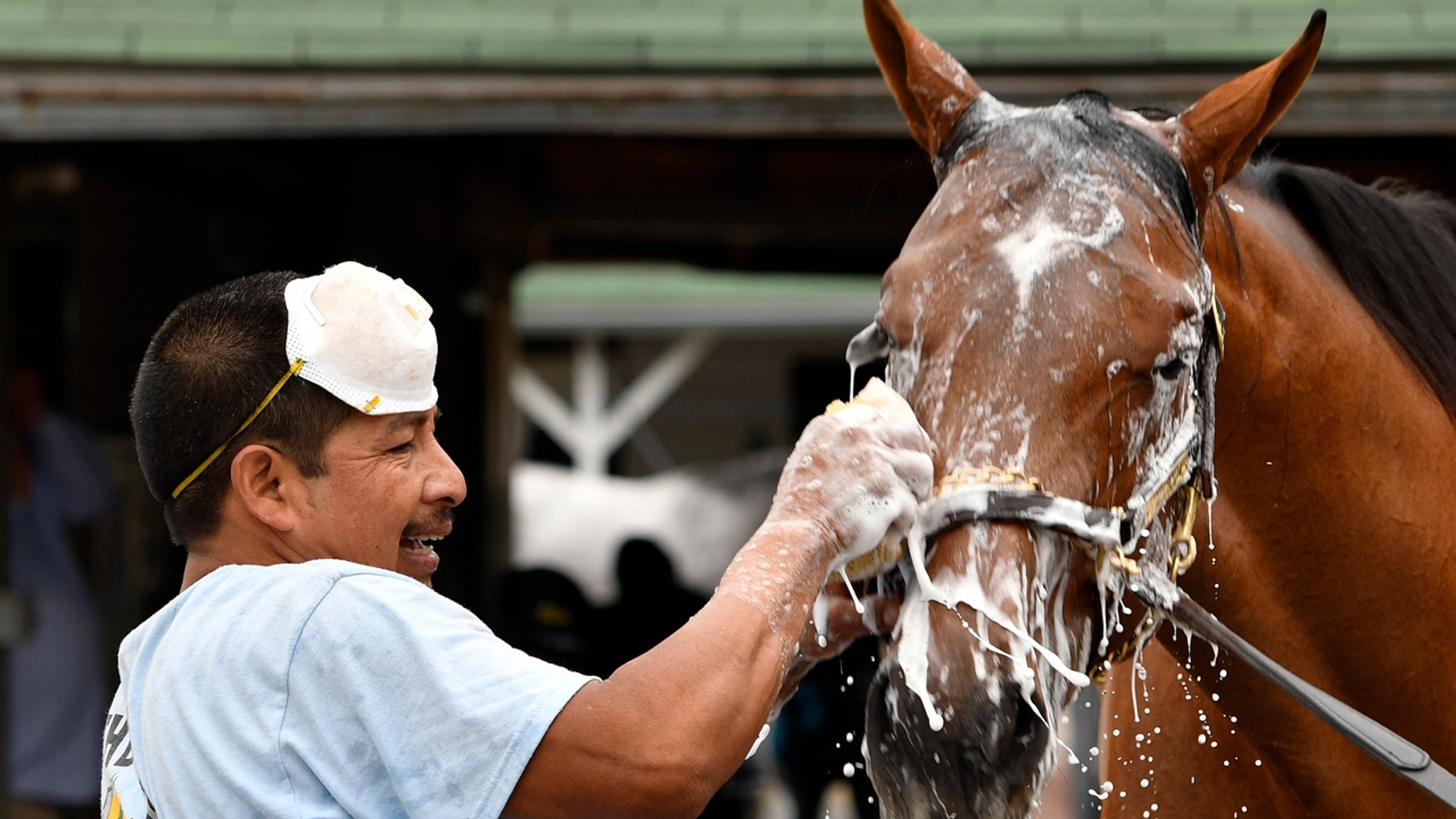 Groom Cesar Abrego gives a bath to one of the horses being trained by Dale Romans following his morning workout at Churchill Downs, Wednesday, April 19, 2017, in Louisville, Ky.