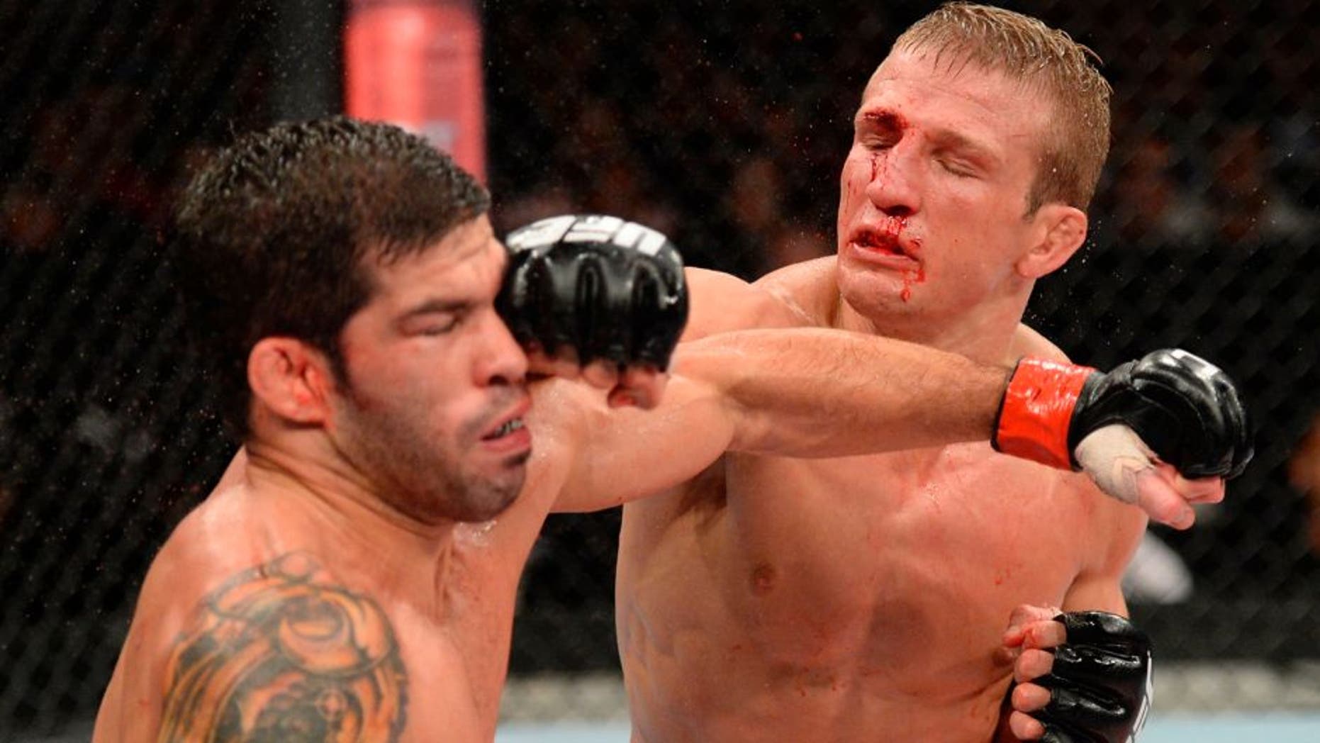 BARUERI, BRAZIL - OCTOBER 9: (R-L) TJ Dillashaw punches Raphael Assuncao in their bantamweight bout during the UFC Fight Night event at the Ginasio Jose Correa on October 9, 2013 in Barueri, Sao Paulo, Brazil. (Photo by Jeff Bottari/Zuffa LLC/Zuffa LLC via Getty Images)