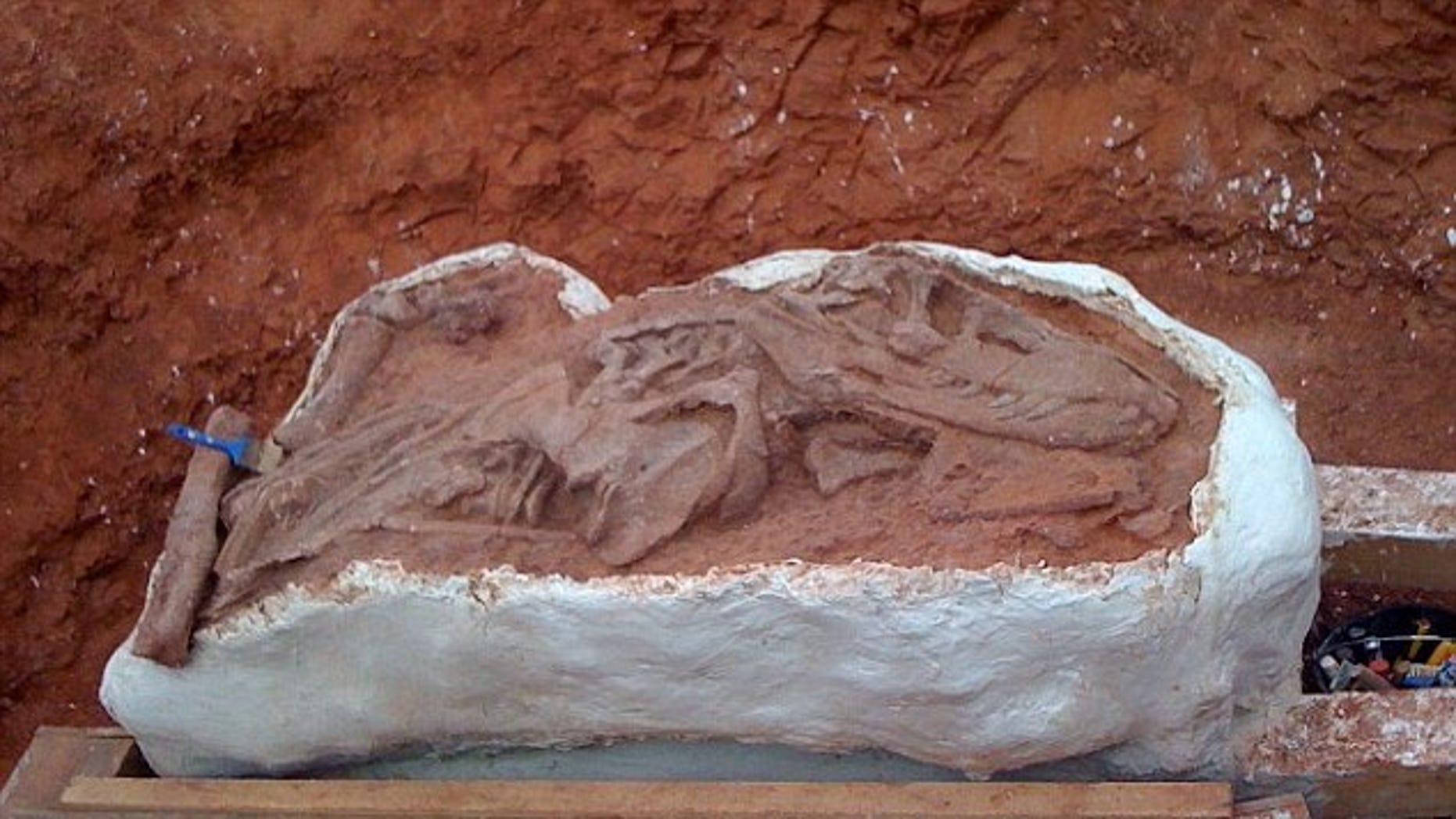 Most Complete Fossil Of Pre-Dinosaur Creature Found In Brazil | Fox News