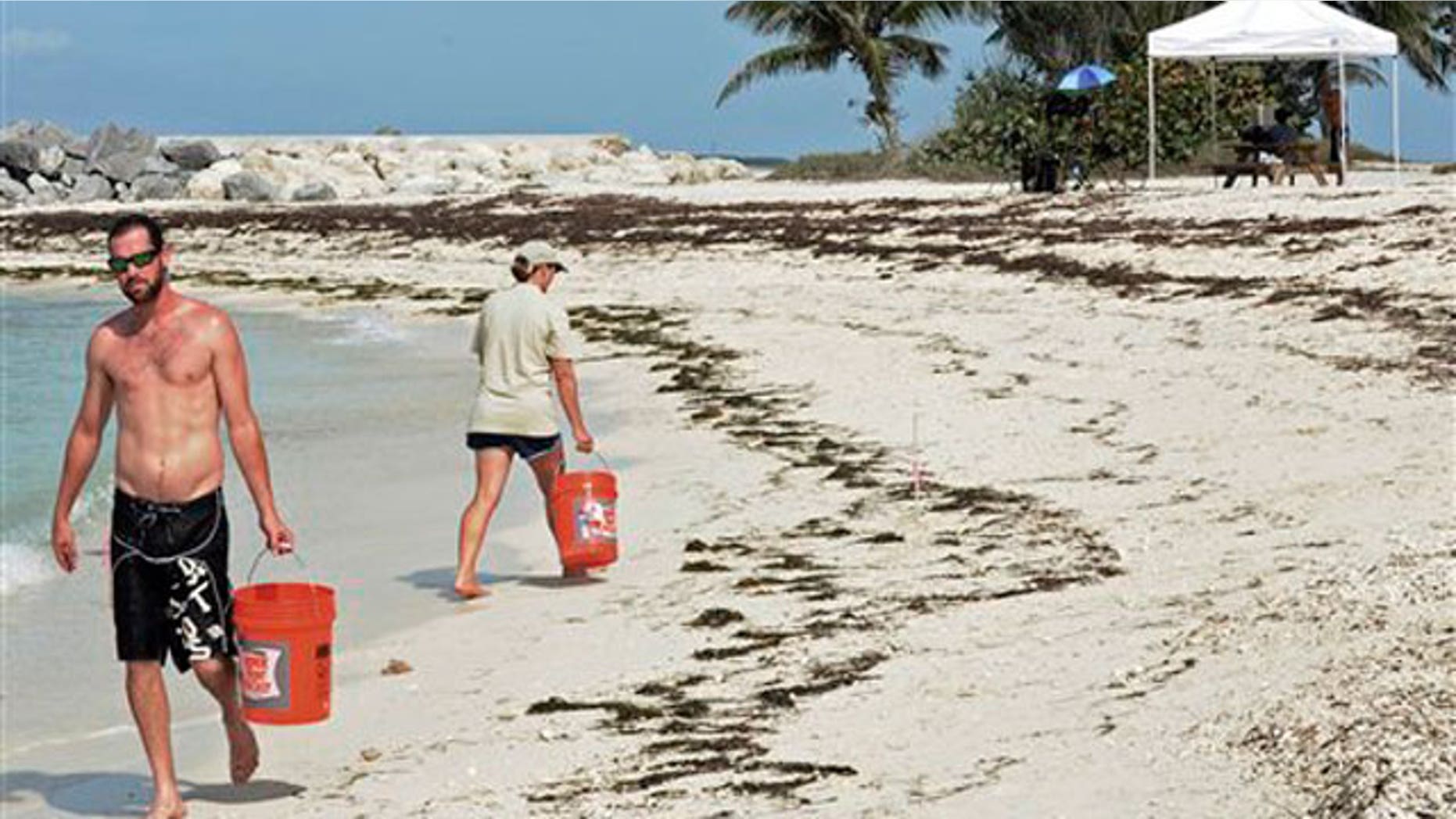 May 18: Crews collect sand samples at Fort Zachary Taylor State Park beach in Key West, Fla., to analyze tar balls found on shore.