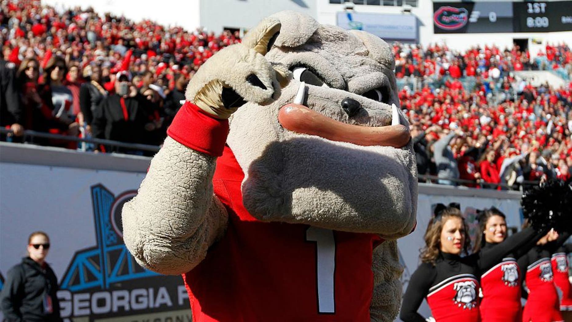 Nov 1, 2014; Jacksonville, FL, USA; Georgia Bulldogs mascot Hairy Dawg during the first quarter against the Florida Gators at EverBank Field. Mandatory Credit: Kim Klement-USA TODAY Sports