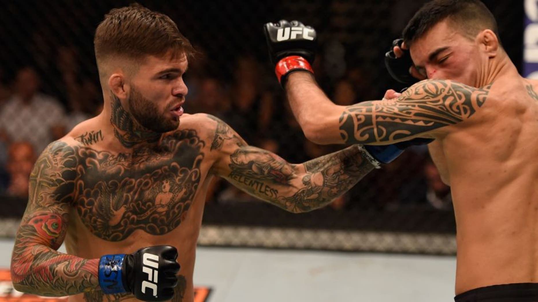 LAS VEGAS, NV - MAY 29: (L-R) Cody Garbrandt punches Thomas Almeida of Brazil in their bantamweight bout during the UFC Fight Night event inside the Mandalay Bay Events Center on May 29, 2016 in Las Vegas, Nevada. (Photo by Josh Hedges/Zuffa LLC/Zuffa LLC via Getty Images)