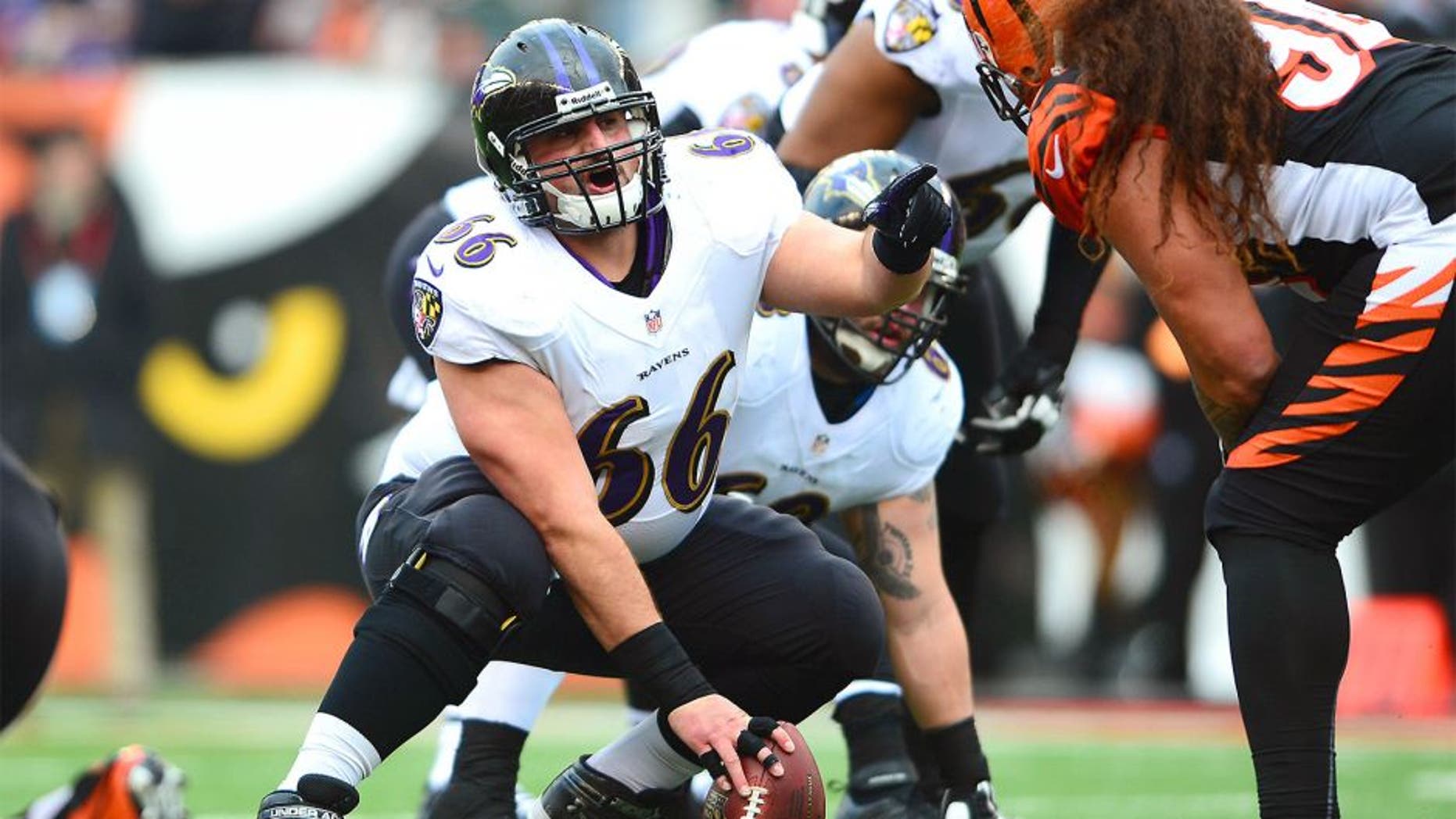 Dec 29, 2013; Cincinnati, OH, USA; Baltimore Ravens center Gino Gradkowski (66) against the Cincinnati Bengals at Paul Brown Stadium. Bengals defeated the Ravens 34-17. Mandatory Credit: Andrew Weber-USA TODAY Sports