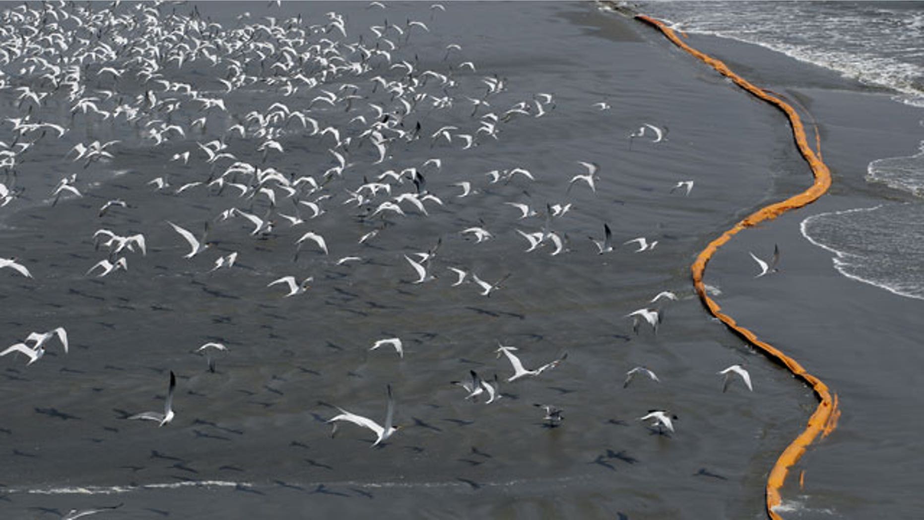 May 1: Birds fly past oil booms that were placed in preparation of the looming oil spill from last week's collapse and spill of the Deepwater Horizon oil rig along the shoreline, south of Venice, La.