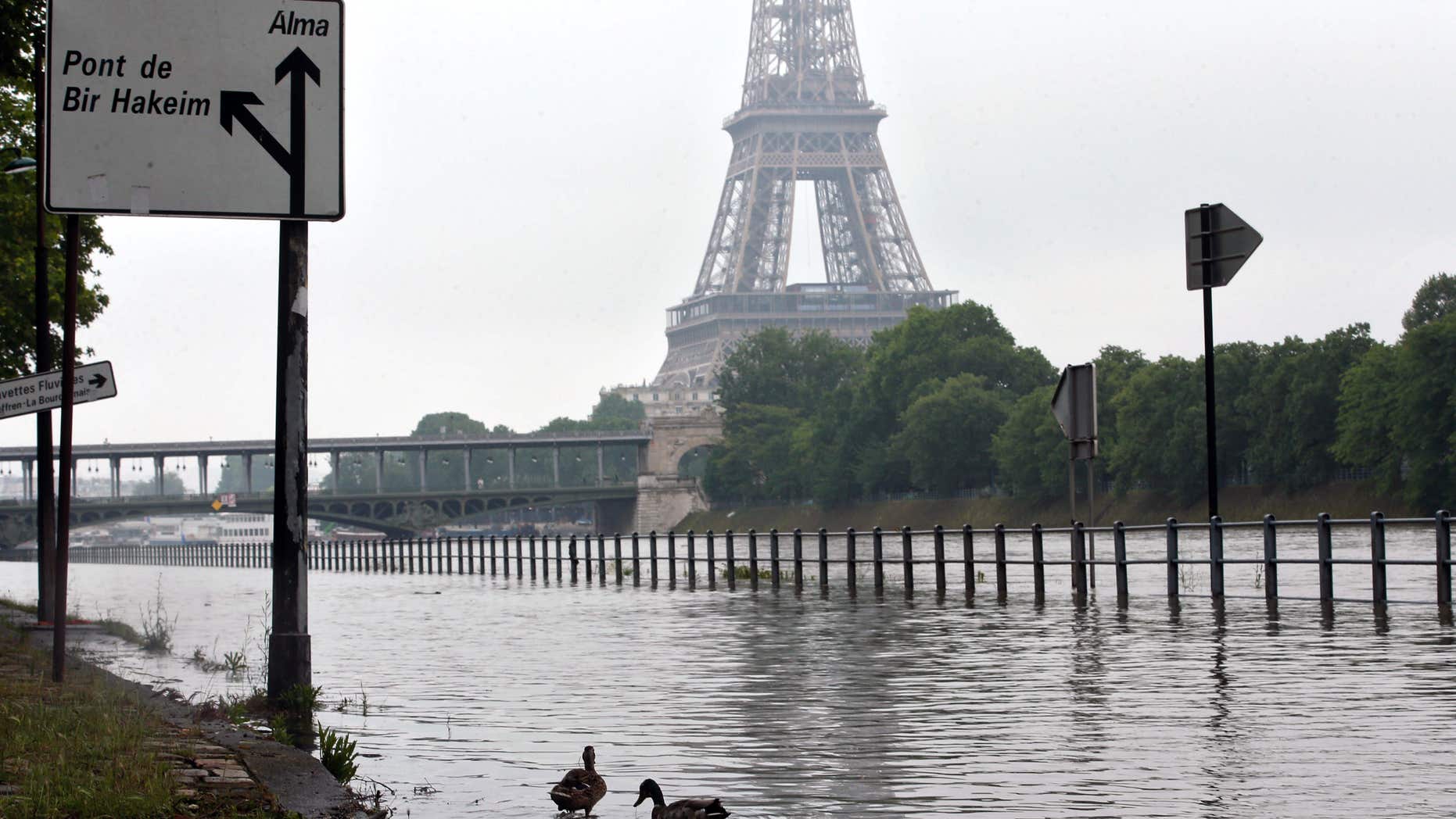 June 1, 2016: Ducks swim on the overflowing embankments of Paris.