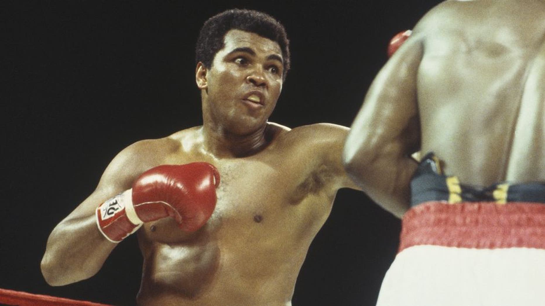 NASSAU - DECEMBER 11: Muhammad Ali throws a left hook at Trevor Berbick at the Queen Elizabeth Sports Centre on December 11, 1981 in Nassau, Bahamas. Berbick defeated Ali in the tenth round. (Focus on Sport/Getty Images)