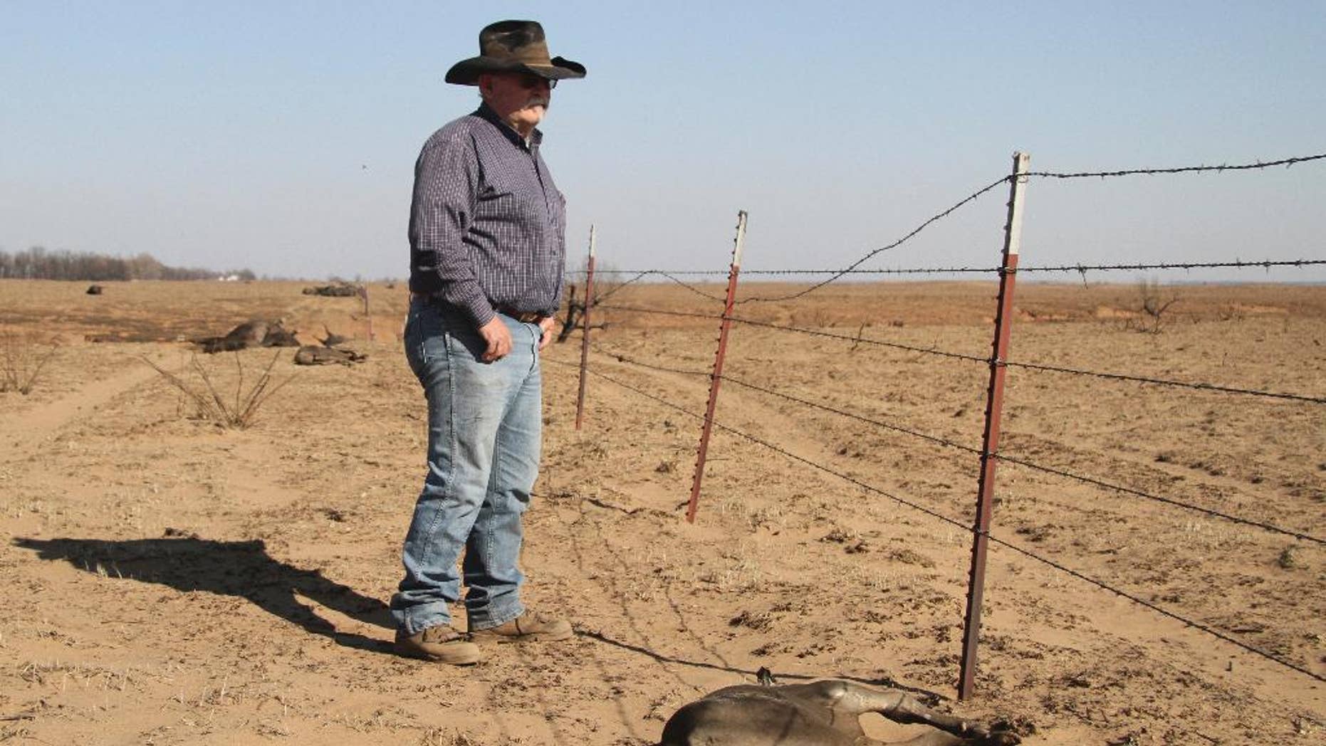 In a March 7, 2017 photo, rancher Greg Gardner, right, surveys some of the damage to his land after the recent wildfire. Gardiner's family has been ranching in Clark County for five generations, having homesteaded in 1885. This week's fires are their ranch's worst natural disaster, killing about 500 cattle. (Mike Pearce/The Wichita Eagle via AP)