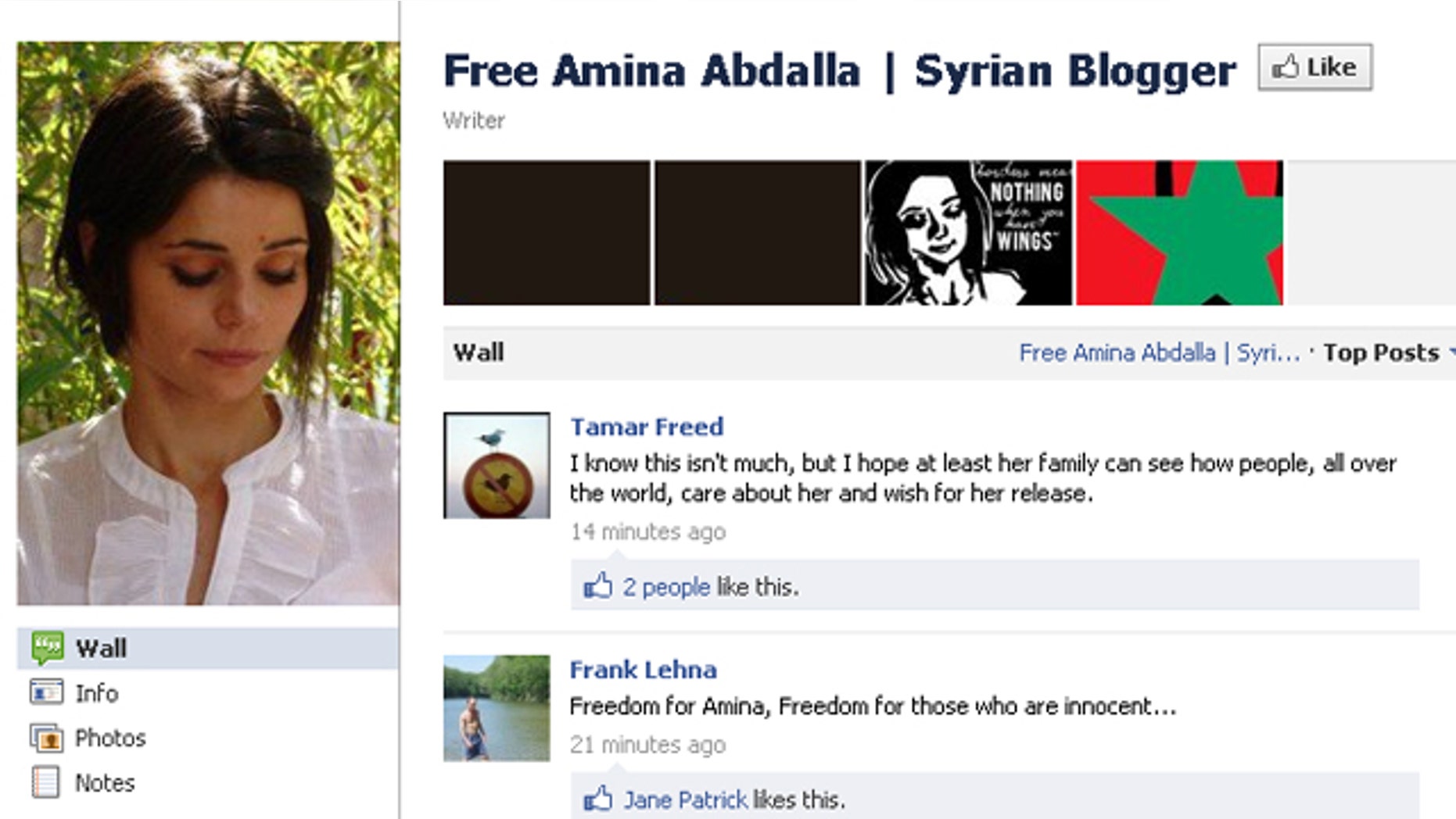 Facebook page calling for the release of kidnapped Syrian blogger Amina Arraf.
