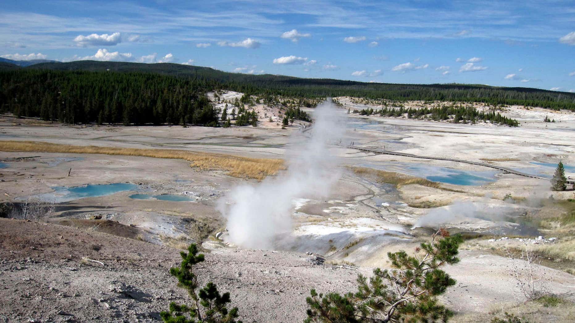 FILE - This September 2009 file photo shows the Norris Geyser Basin in Yellowstone National Park, Wyo. U.S. authorities will not try to force four men accused of walking onto a sensitive hot spring at Yellowstone National Park to return from their homes in Canada for prosecution, a spokesman for the U.S. Attorney's Office in Wyoming said.