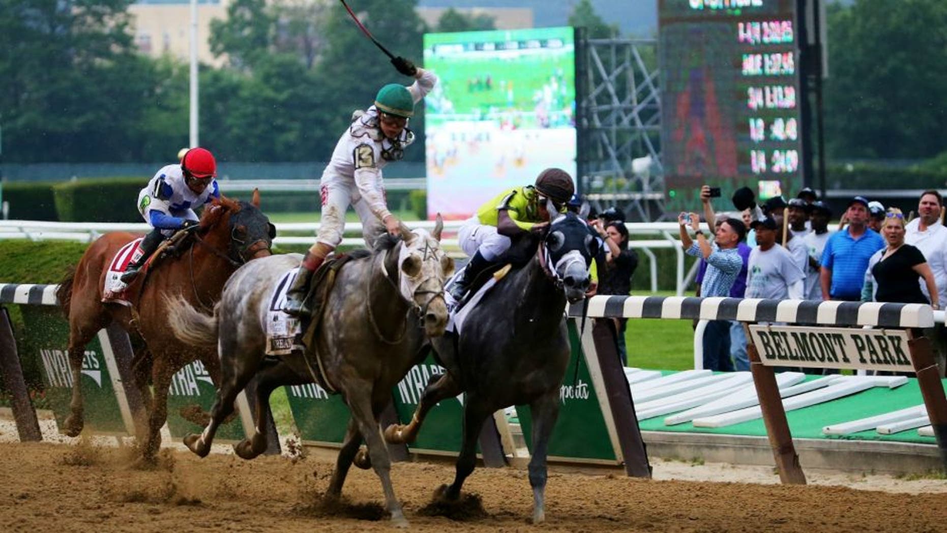 during the The 148th running of the Belmont Stakes at Belmont Park on June 11, 2016 in Elmont, New York.