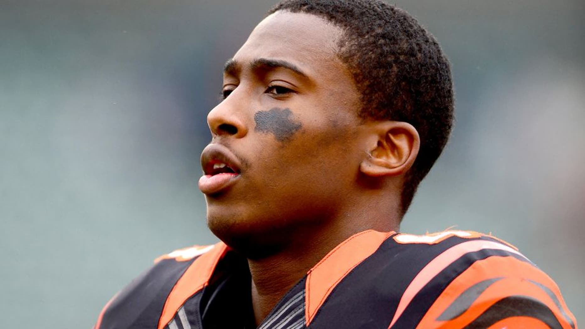 Dec 29, 2013; Cincinnati, OH, USA; Cincinnati Bengals strong safety George Iloka (43) against the Baltimore Ravens at Paul Brown Stadium. Bengals defeated the Ravens 34-17. Mandatory Credit: Andrew Weber-USA TODAY Sports