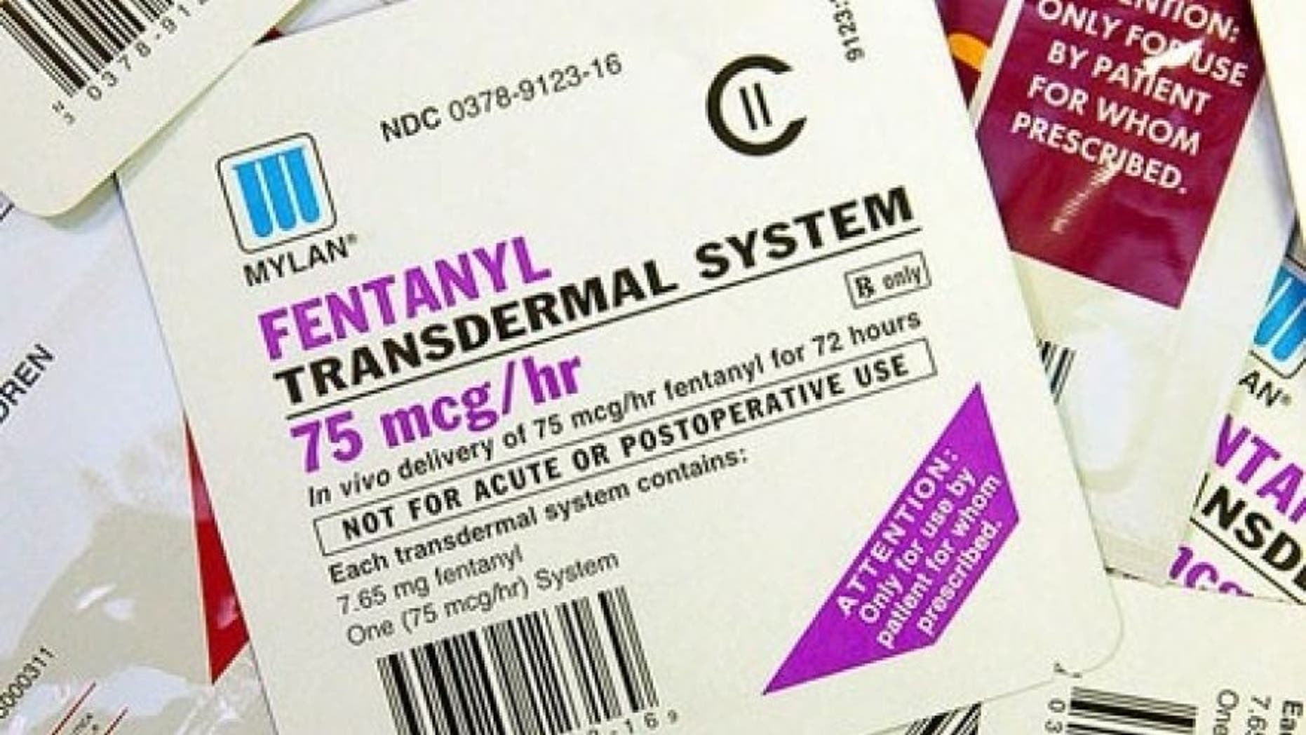 Federal authorities in San Diego say they have seized one of the largest loads ever in the U.S. of the potent synthetic opiate Fentanyl.