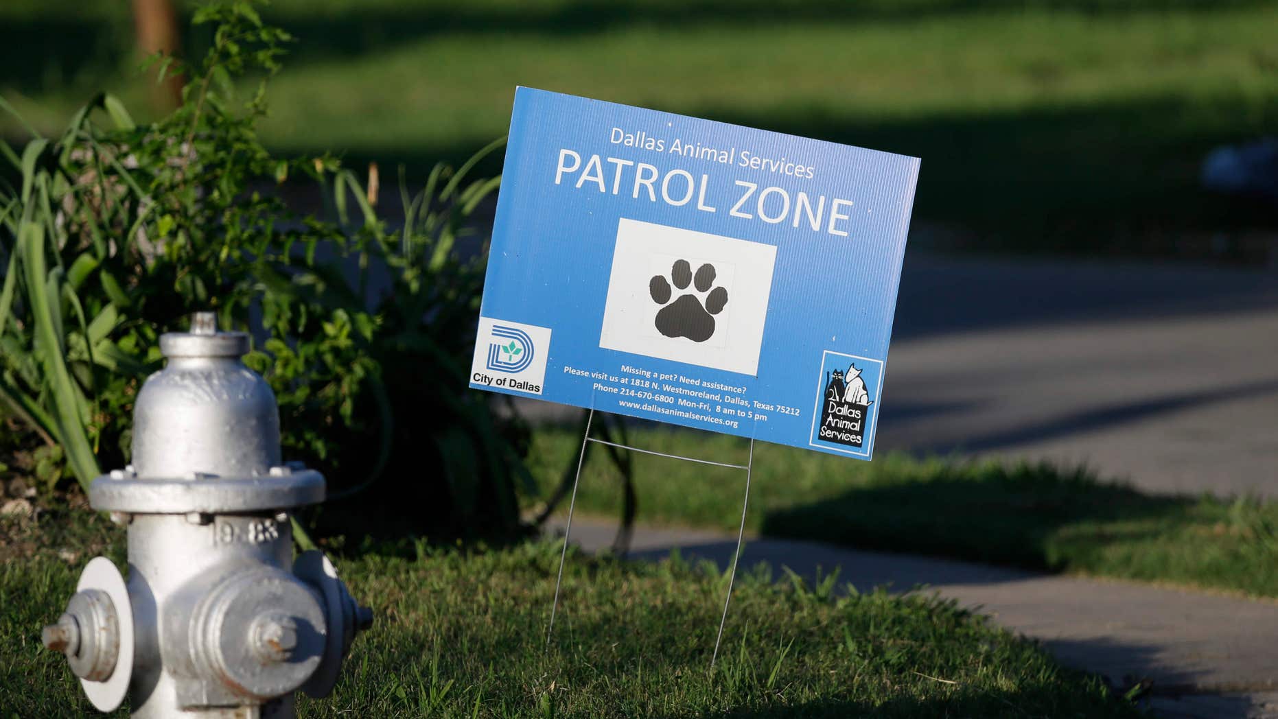 In this Friday, June 17, 2016 photo, a sign tells of animal control efforts in the neighborhood where a homeless woman was killed by a pack of stray dogs in Dallas.