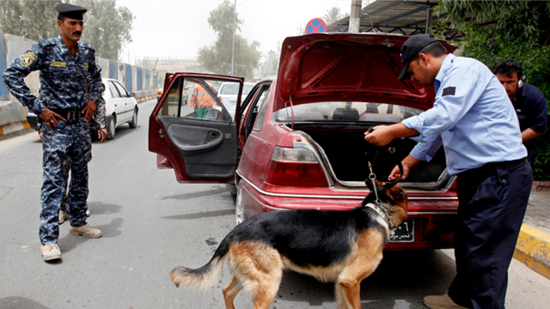June 23: An Iraqi policeman uses a dog to search a car at a checkpoint in Baghdad, Iraq.
