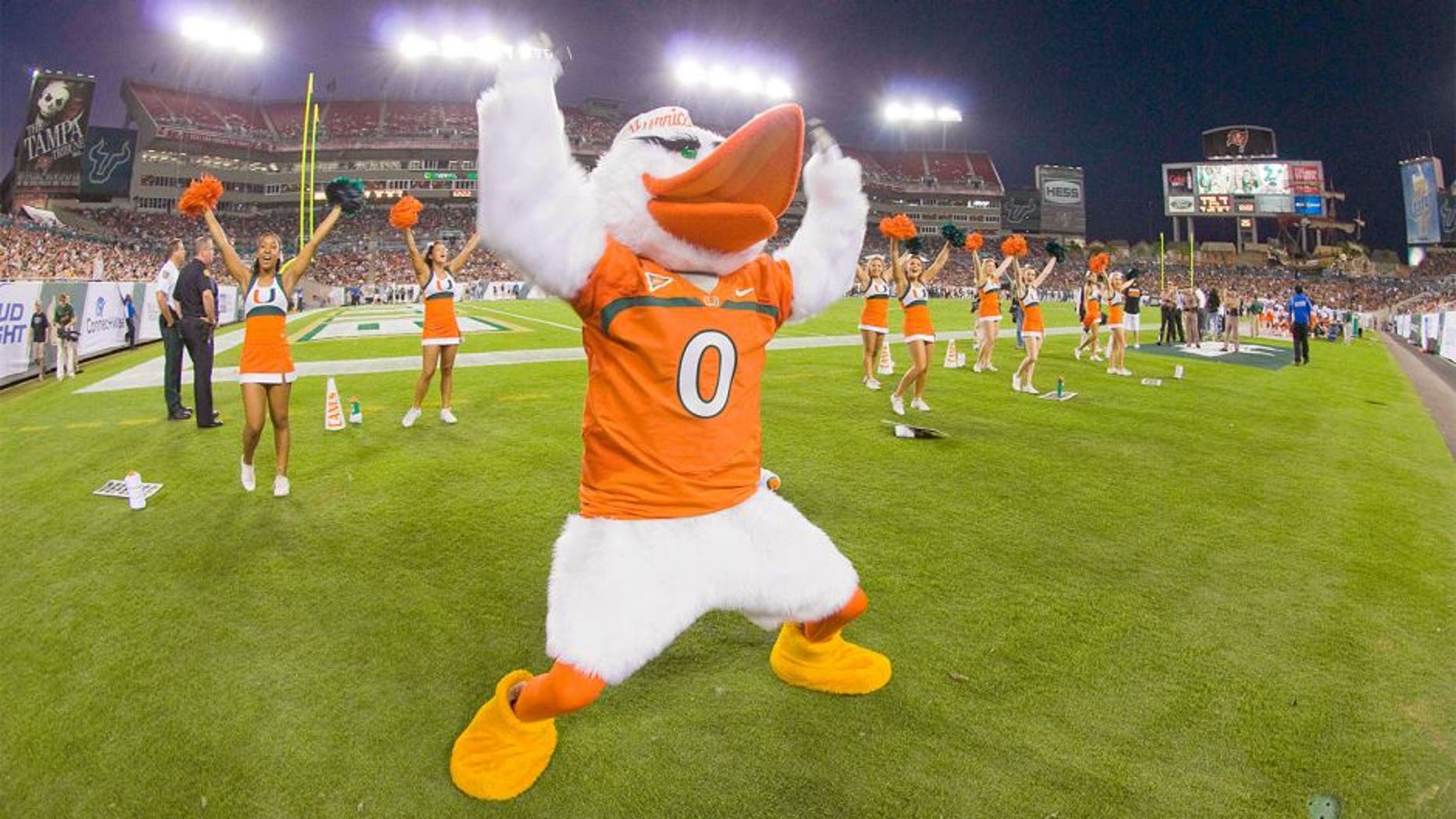 November 19, 2011; Tampa, FL, USA; Miami Hurricanes mascot and cheerleaders during a game against the South Florida Bulls at Raymond James Stadium. Mandatory Credit: Jeff Griffith-USA TODAY Sports
