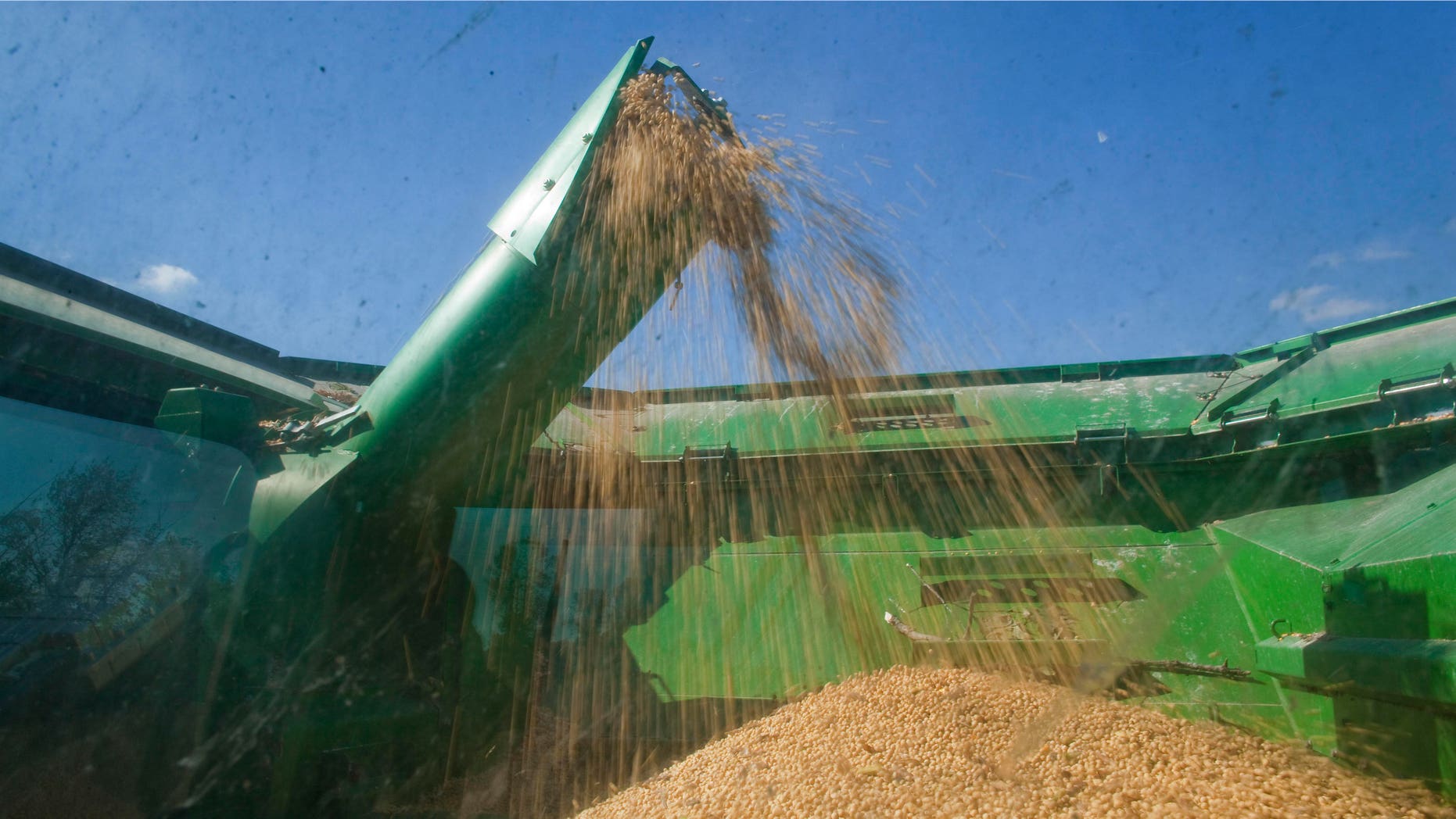 WEST BEND, WI - SEPTEMBER 29: Robert Roden harvests a soy bean field on the Rob-N-Cin farm on September 29, 2010 in West Bend, Wisconsin. The farm has roughly 400 head of cattle and about 1,800 acres of crop land, and has diversified with a harvest around 1,800 acres of corn, soy and alfalfa that helps maintain any short comings that the milk industry may bring. The Rodens like many other dairy farmers are still struggling to recover from last year's devastating milk prices that were nearly $5 dollars per 100 weight bellow the number needed to break even for sales. The dairy industry in Wisconsin is a huge integral cog in the state economic wheel that brings in roughly 26 billion dollars annually and is more important to the state then Citrus is to Florida and potatoes are to Idaho combined. It is stated that roughly each dairy cow in Wisconsin brings in about $16,000 of economic activity outside of the farm. (Photo by Darren Hauck/Getty Images)