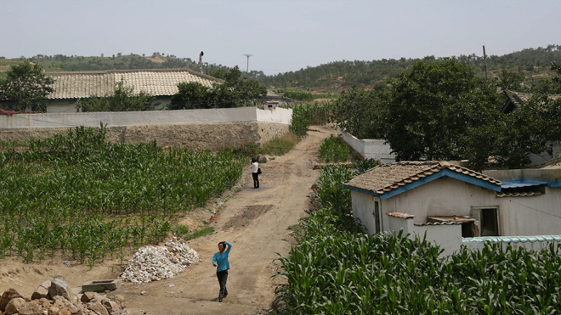 June 24, 2015: People walk between corn fields in South Hwanghae, North Korea.
