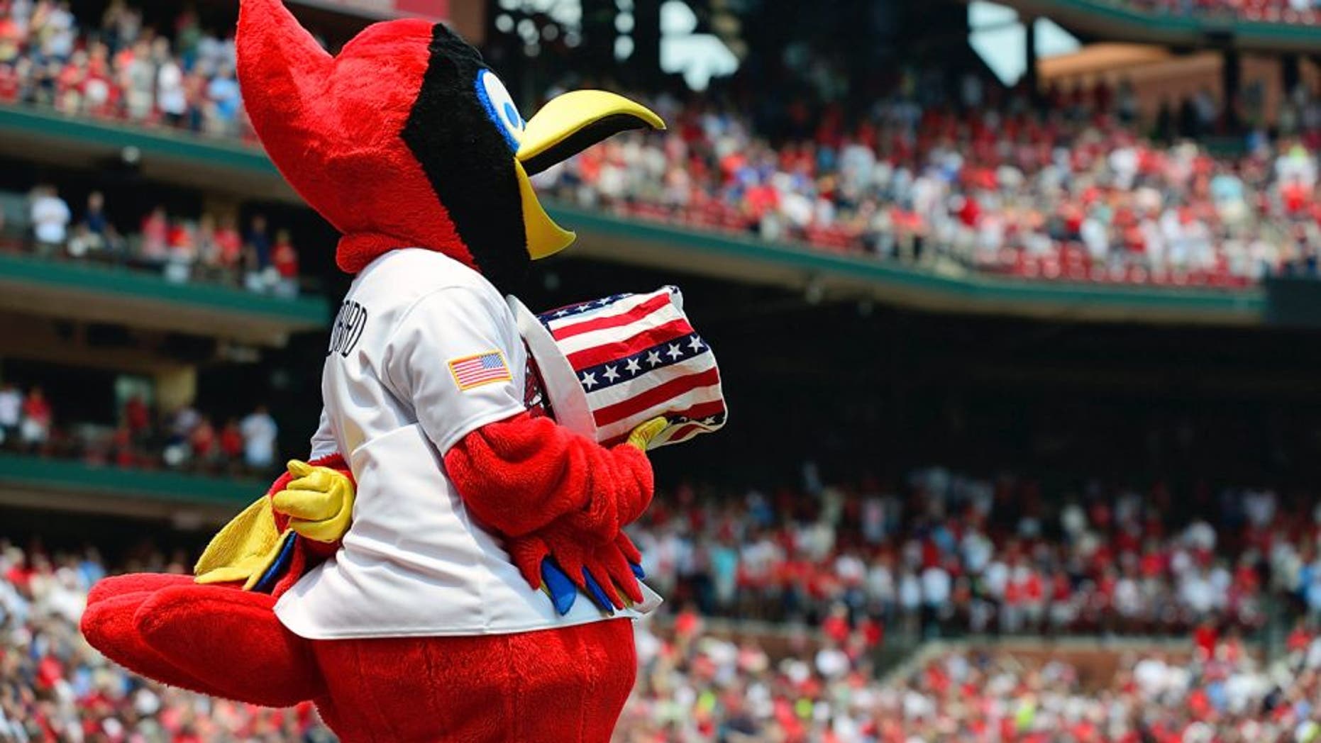 ST. LOUIS, MO - JULY 4: St. Louis Cardinals mascot Fredbird listens to the National Anthem before a game against the San Diego Padres at Busch Stadium on July 4, 2015 in St. Louis, Missouri. (Photo by Jeff Curry/Getty Images)