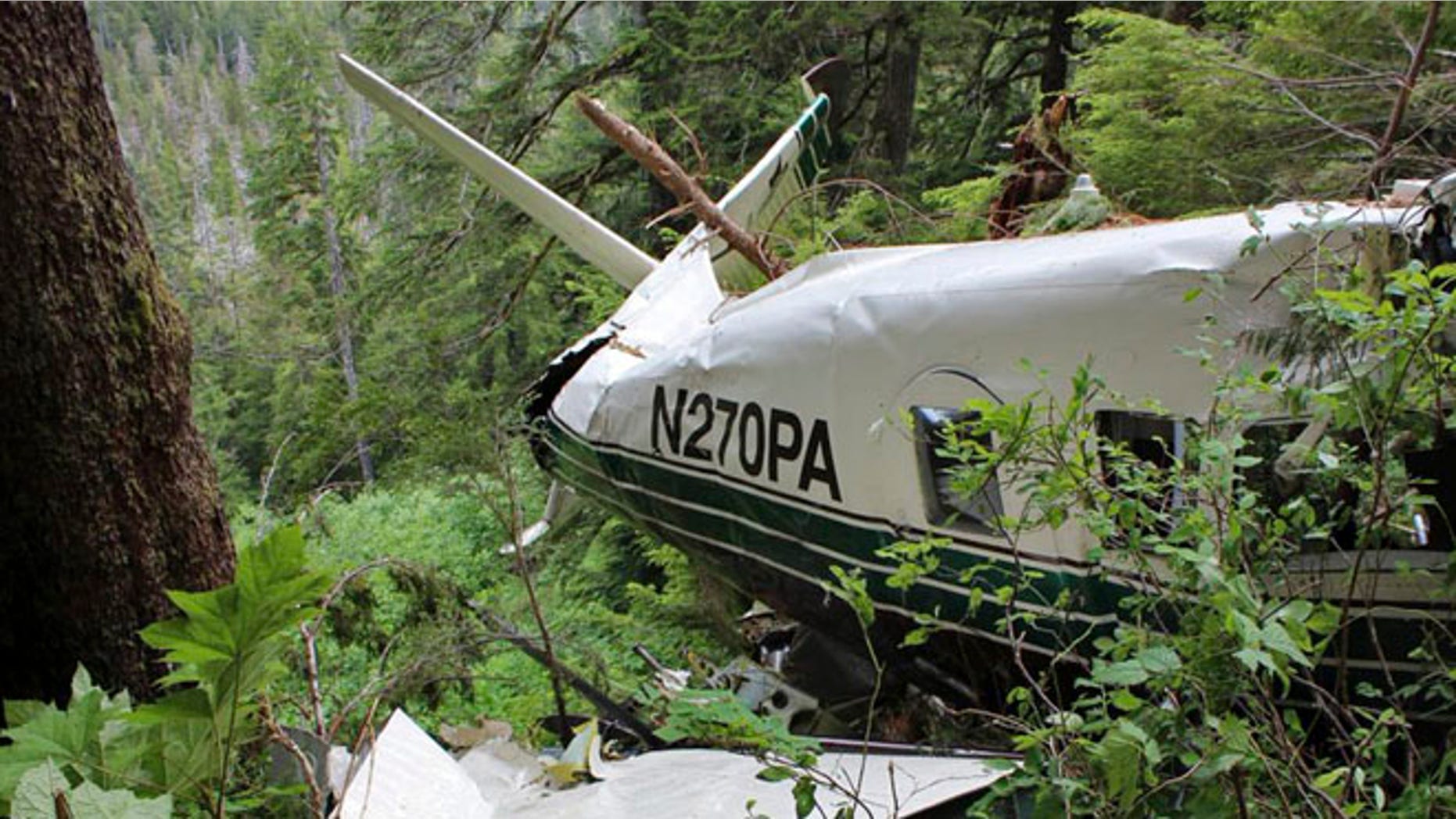 June 28, 2015: Picture shows the wreckage of a sightseeing plane that crashed in remote, mountainous terrain about 25 miles from Ketchikan.