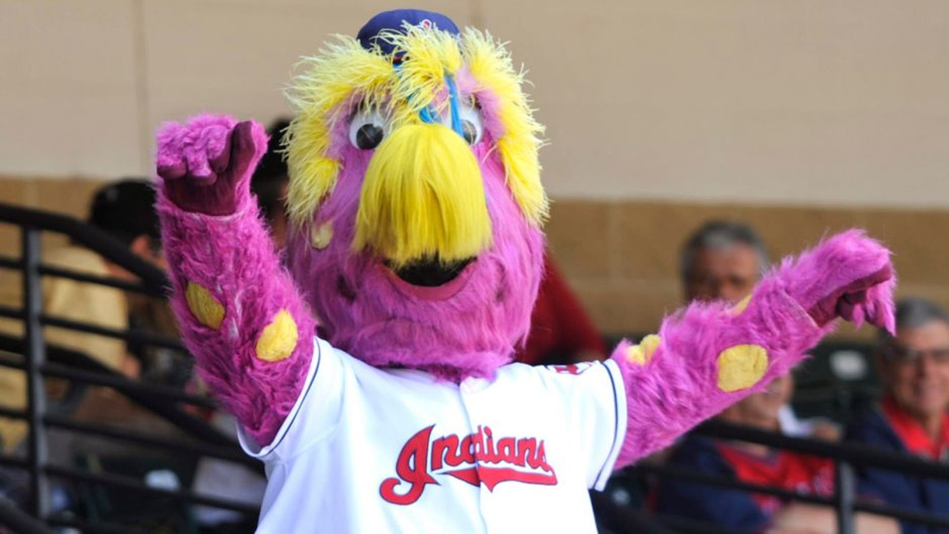 May 30, 2012; Cleveland, OH, USA; Cleveland Indians mascot Slider cheers beside two fans wearing habits during a game against the Kansas City Royals at Progressive Field. Mandatory Credit: David Richard-USA TODAY Sports