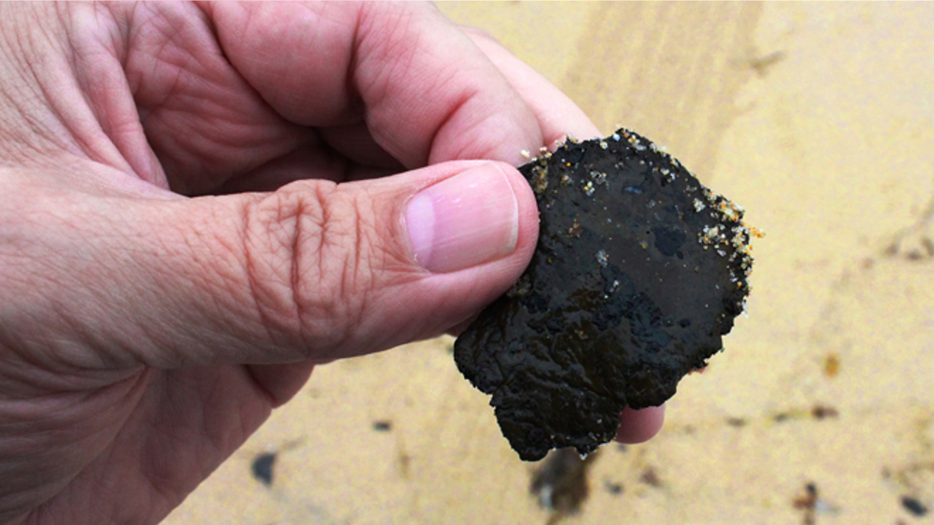 June 6, 2015: Photo shows a tar ball, less than two inches in diameter, found on the sand at Hermosa Beach, Calif., adjacent to Redondo Beach on the coast southwest of downtown Los Angeles.