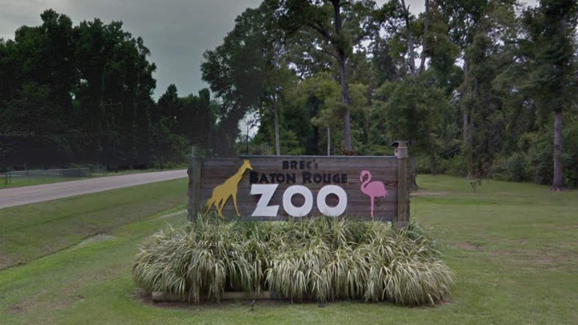 Baton Rouge Zoo.
