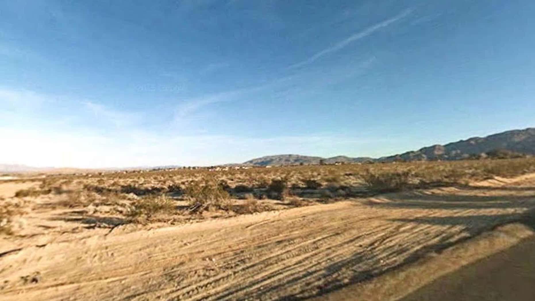Desert in Twentynine Palms, Calif.