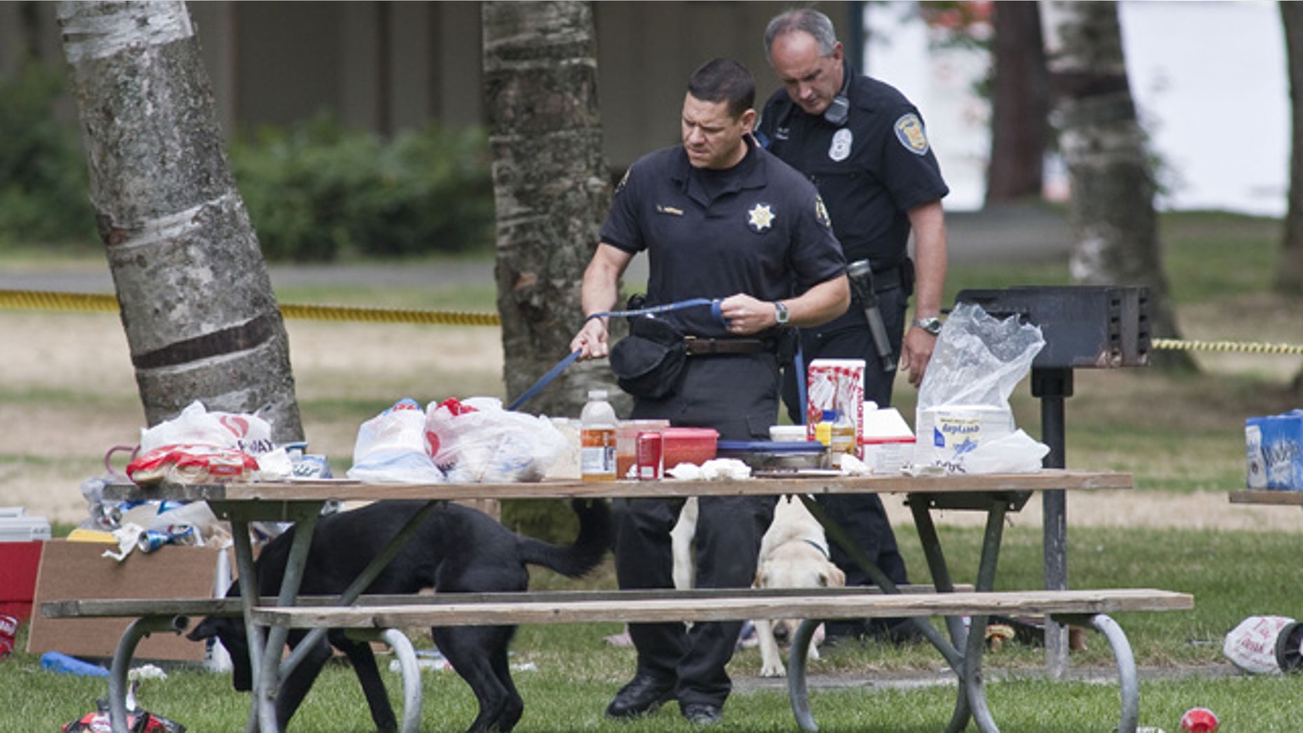 July 18: King County Sheriff's Deputy Tim Morgan, foreground, and Seattle Police Officer Craig Williamson and their respective search dogs comb through the effects of people who were forced to leave their belongings behind following a Saturday night fatal shooting at Lake Sammamish State Park in Issaquah, Wash.