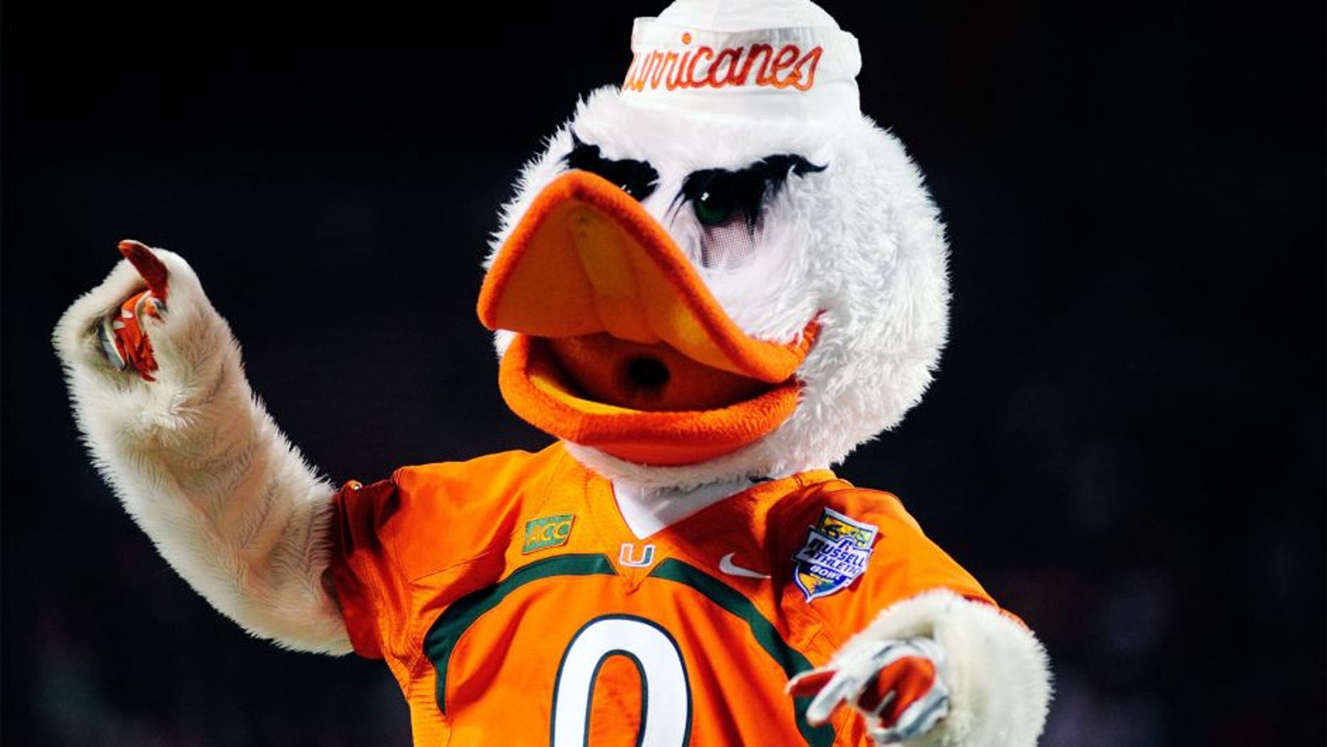 Dec 28, 2013; Orlando, FL, USA; Sebastian the Ibis, mascot of the Miami Hurricanes, cheers during the Russell Athletic Bowl at Florida Citrus Bowl Stadium. Mandatory Credit: David Manning-USA TODAY Sports