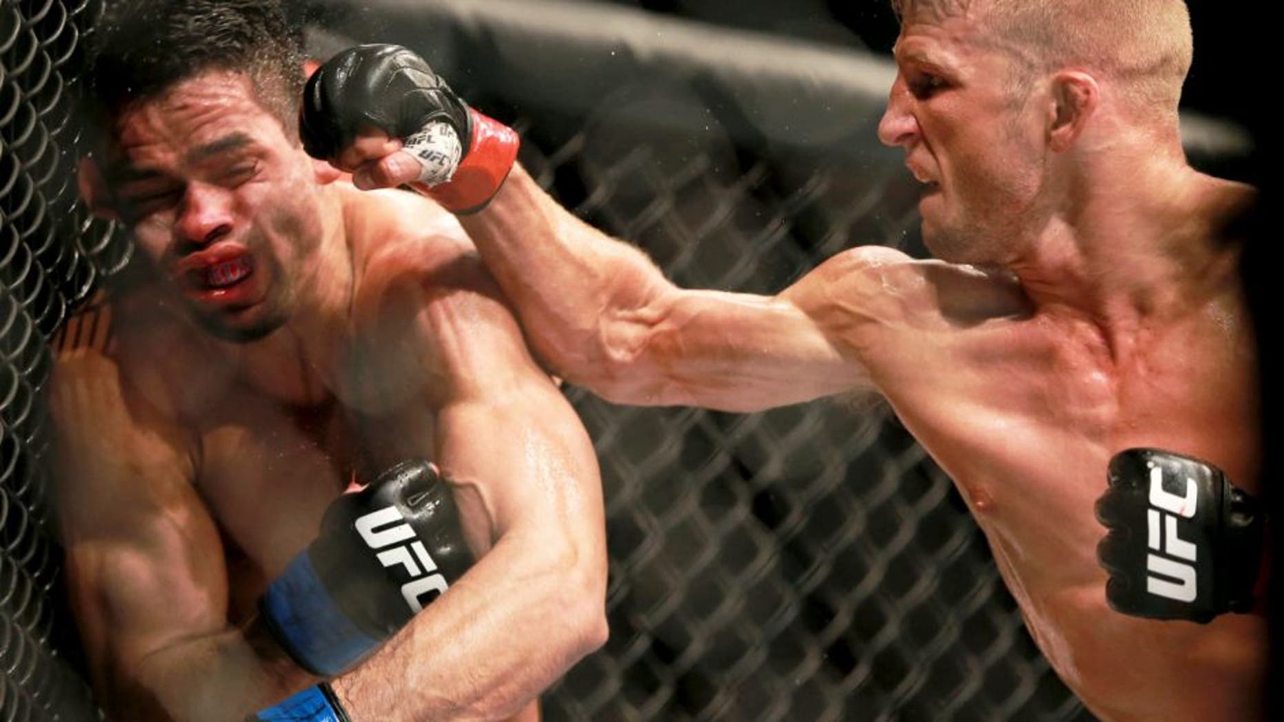 CHICAGO, IL - JULY 25: TJ Dillashaw punches Renan Barao in their UFC bantamweight championship bout during the UFC event at the United Center on July 25, 2015 in Chicago, Illinois. (Photo by Rey Del Rio/Zuffa LLC/Zuffa LLC via Getty Images)