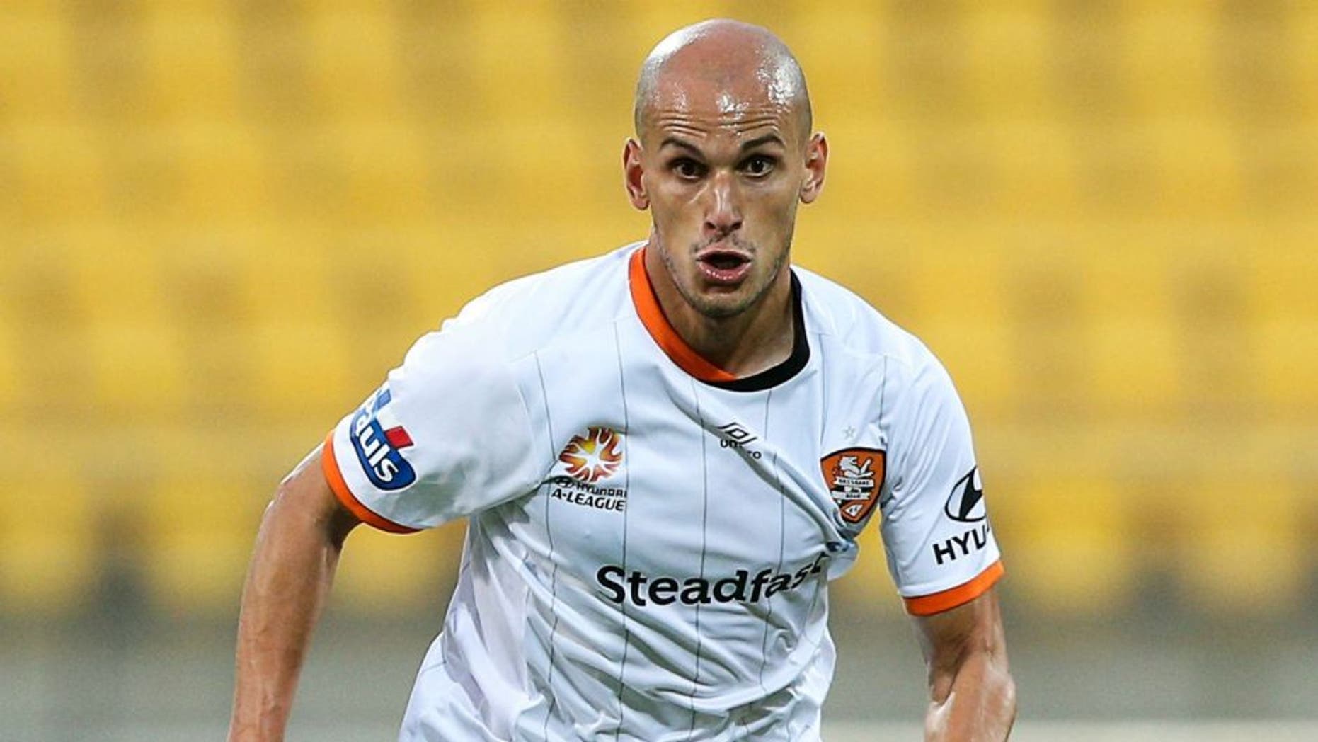 WELLINGTON, NEW ZEALAND - JANUARY 10: during the round 14 A-League match between the Wellington Phoenix and the Brisbane Roar at Westpac Stadium on January 10, 2016 in Wellington, New Zealand. (Photo by Hagen Hopkins/Getty Images)
