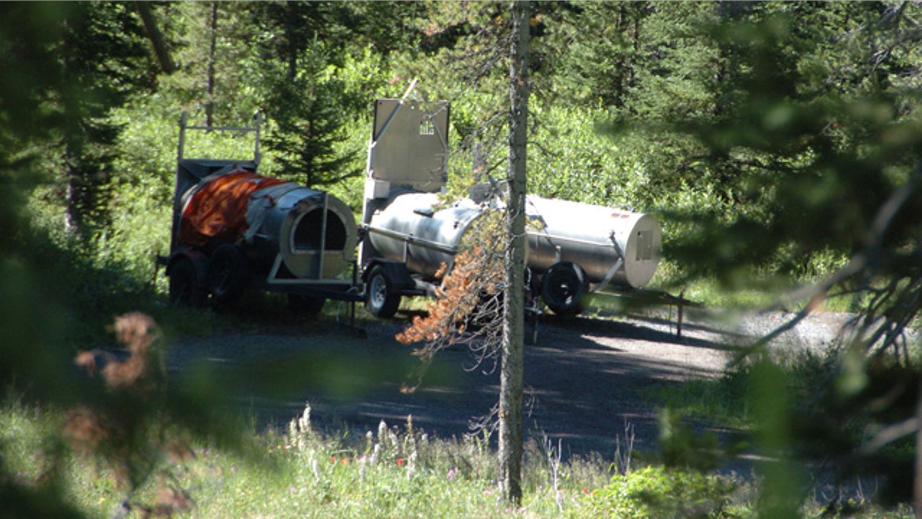 July 29: Three traps - one with a mother bear and another with two of its offspring - are set up at the Soda Butte Campground near Cooke City, Mont.