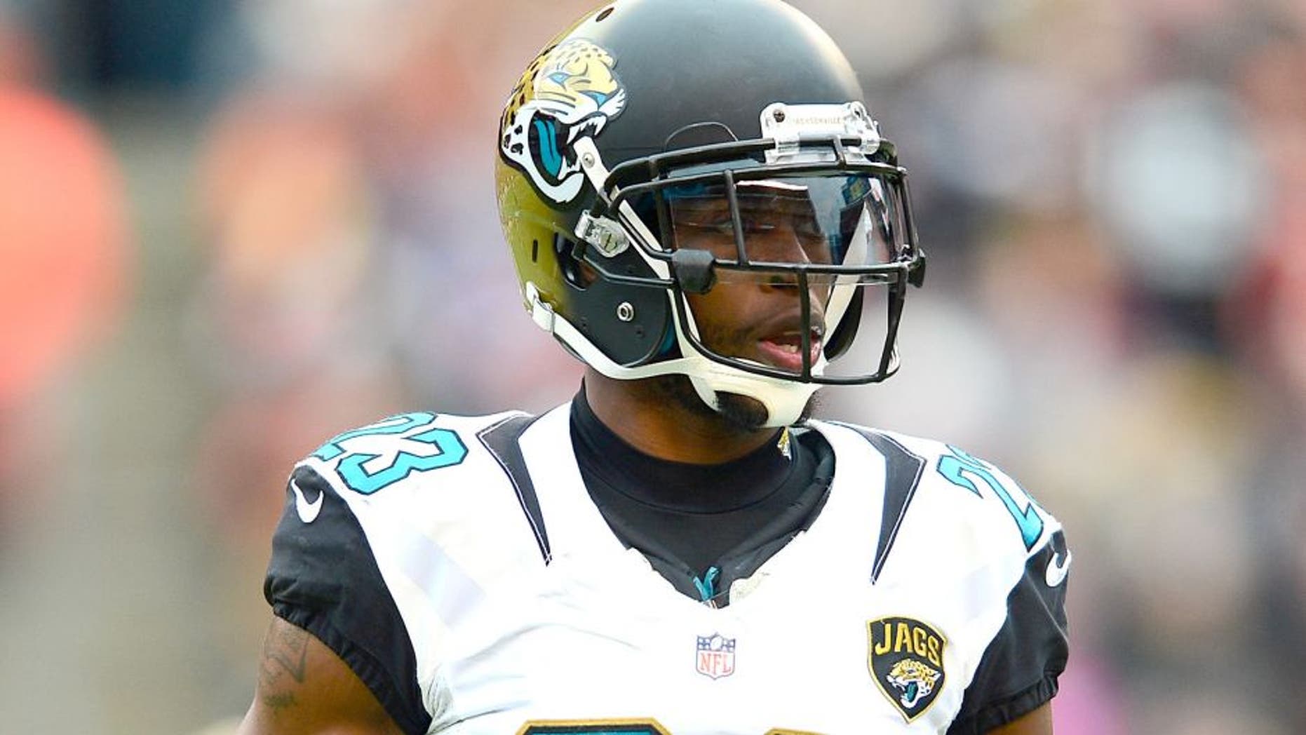 Dec 1, 2013; Cleveland, OH, USA; Jacksonville Jaguars cornerback Alan Ball (23) against the Cleveland Browns at FirstEnergy Stadium. Mandatory Credit: Andrew Weber-USA TODAY Sports