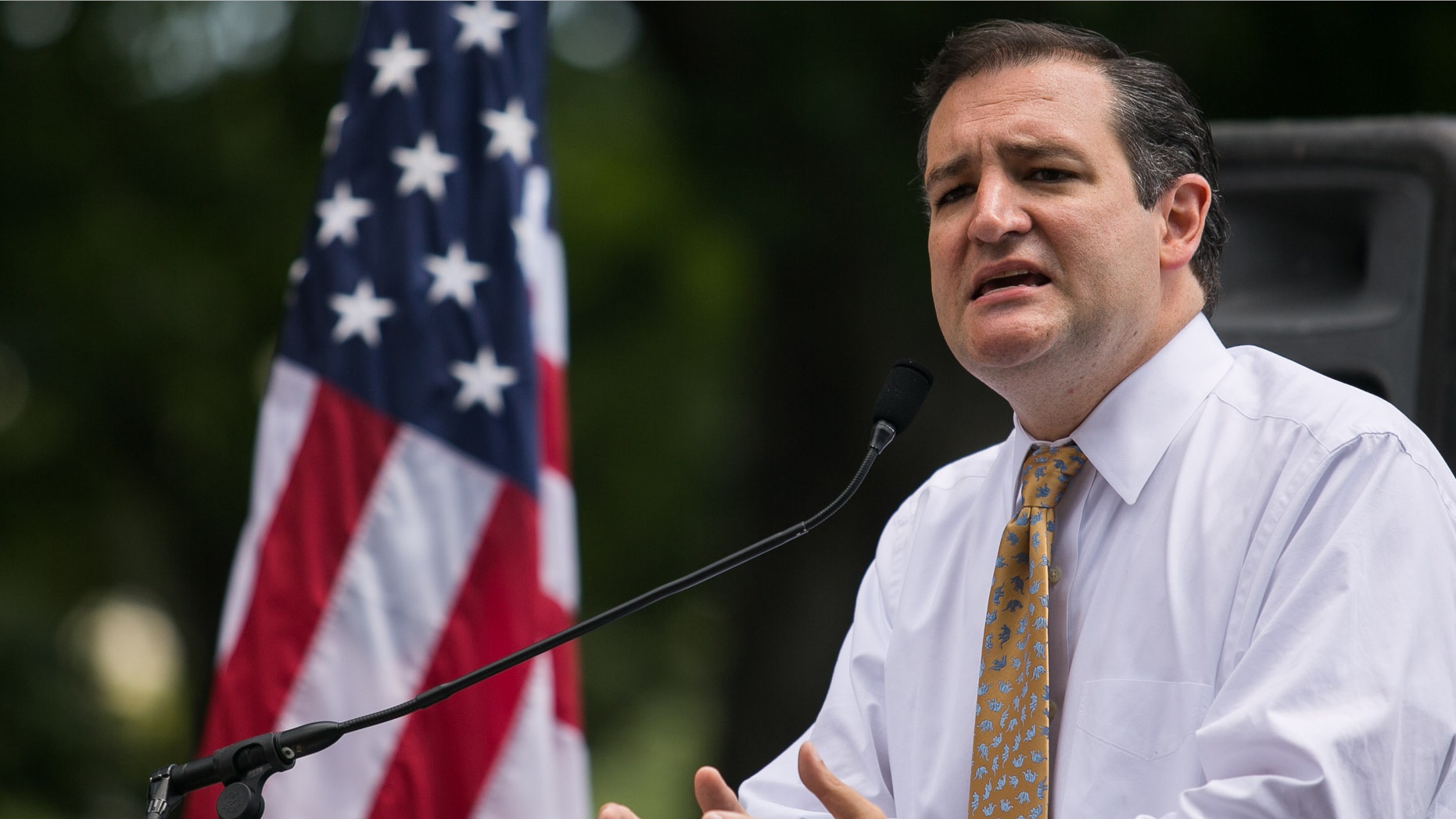 WASHINGTON, DC - JULY 15: Sen. Ted Cruz (R-TX) speaks about immigration during the DC March for Jobs in Upper Senate Park near Capitol Hill, on July 15, 2013 in Washington, DC. Conservative activists and supporters rallied against the Senate's immigration legislation and the impact illegal immigration has on reduced wages and employment opportunities for some Americans. (Photo by Drew Angerer/Getty Images)