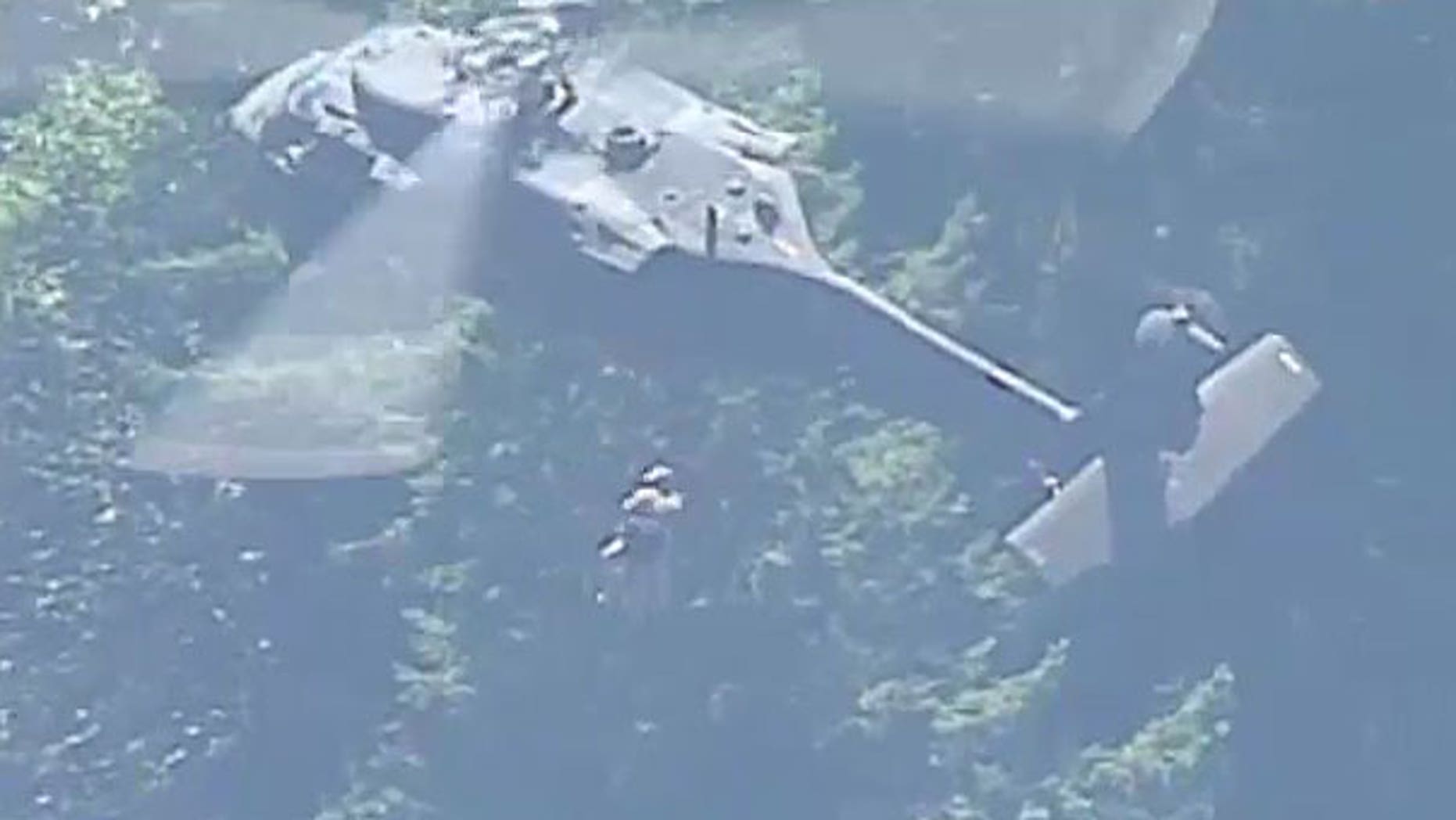 This screengrab from Fox 12 shows Pamela Salant of Portland being rescued in Mount Hood National Forest.