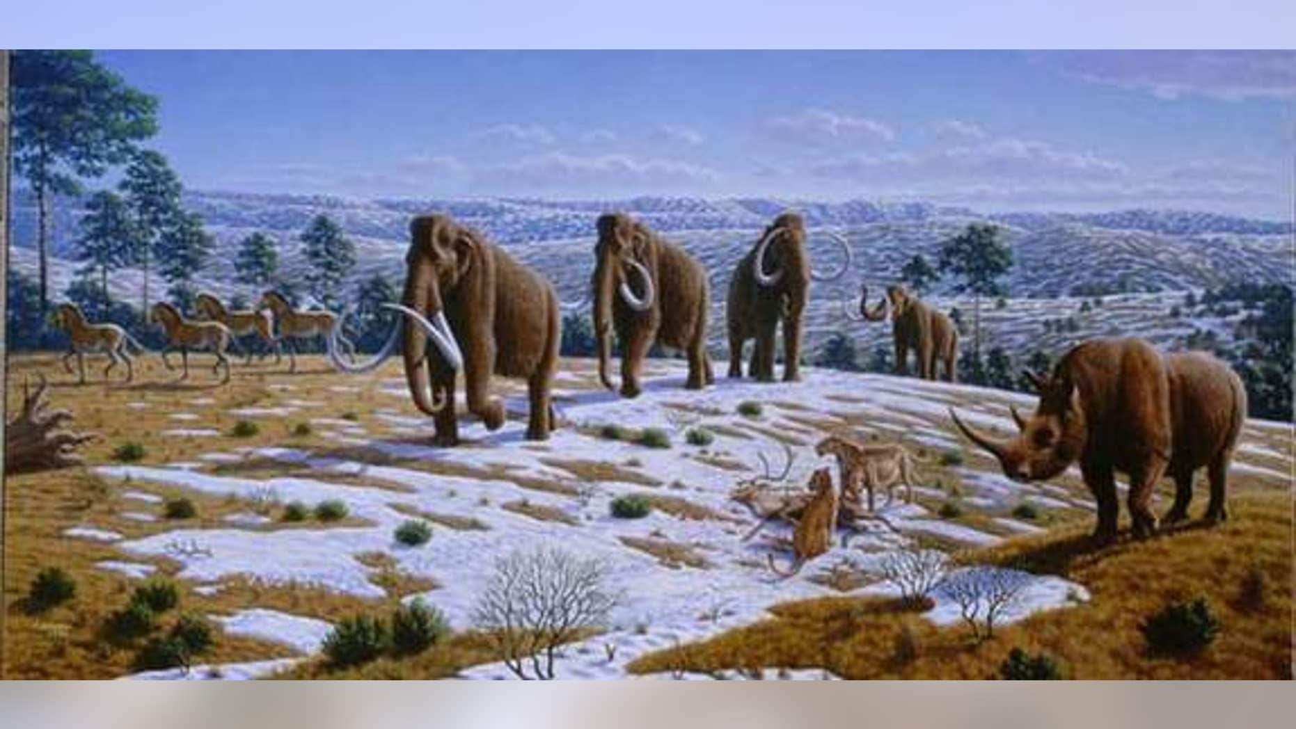 Woolly mammoths wandered the planet for about 250,000 years and vanished from Siberia by about 10,000 years ago.