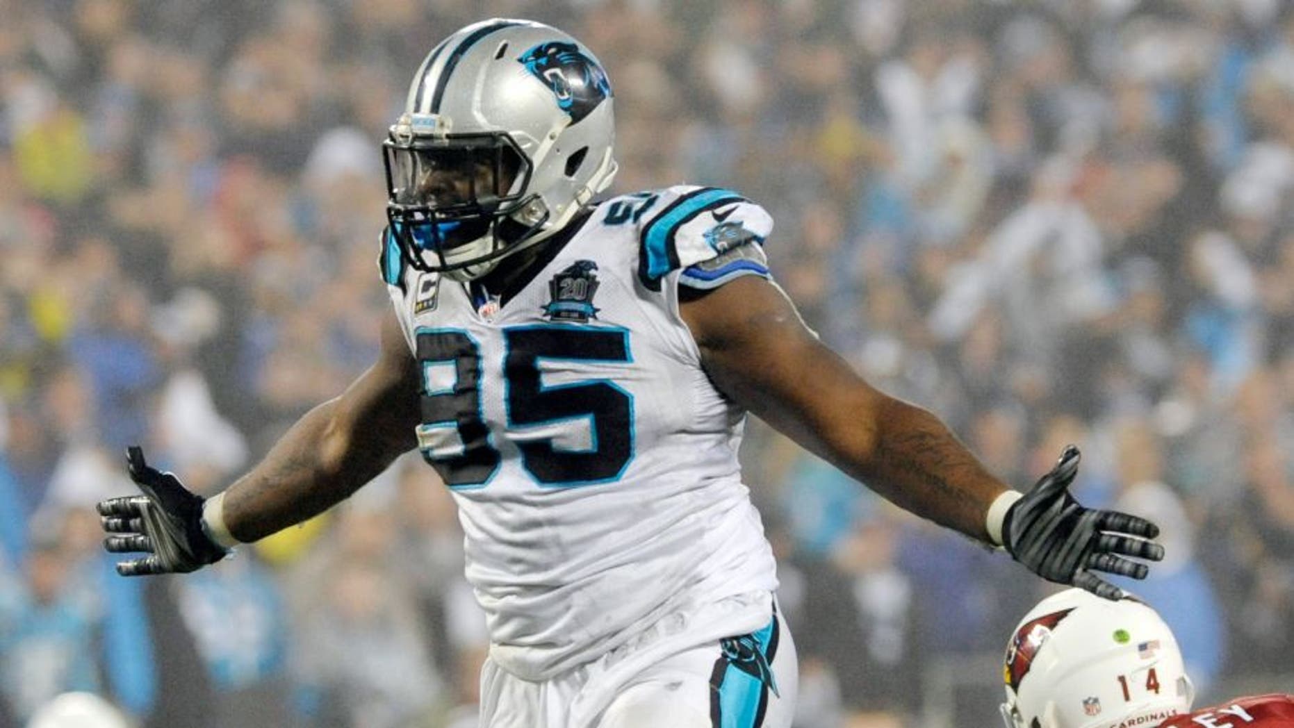 Jan 3, 2015; Charlotte, NC, USA; Carolina Panthers defensive end Charles Johnson (95) celebrates after sacking Arizona Cardinals quarterback Ryan Lindley (14) during the fourth quarter in the 2014 NFC Wild Card playoff football game at Bank of America Stadium. Mandatory Credit: Sam Sharpe-USA TODAY Sports