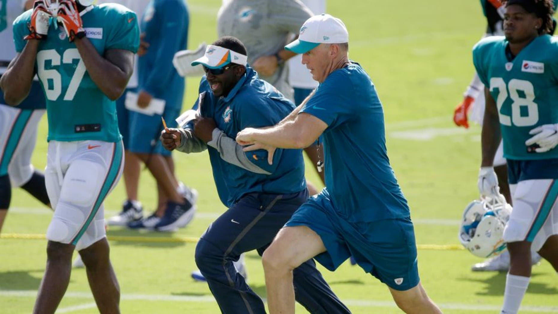 Miami Dolphins head coach Joe Philbin, foreground center, races assistant defensive backs coach Blue Adams as they change practice fields at the teams NFL football training camp, Wednesday, Aug. 5, 2015 in Davie, Fla. (AP Photo/Wilfredo Lee)