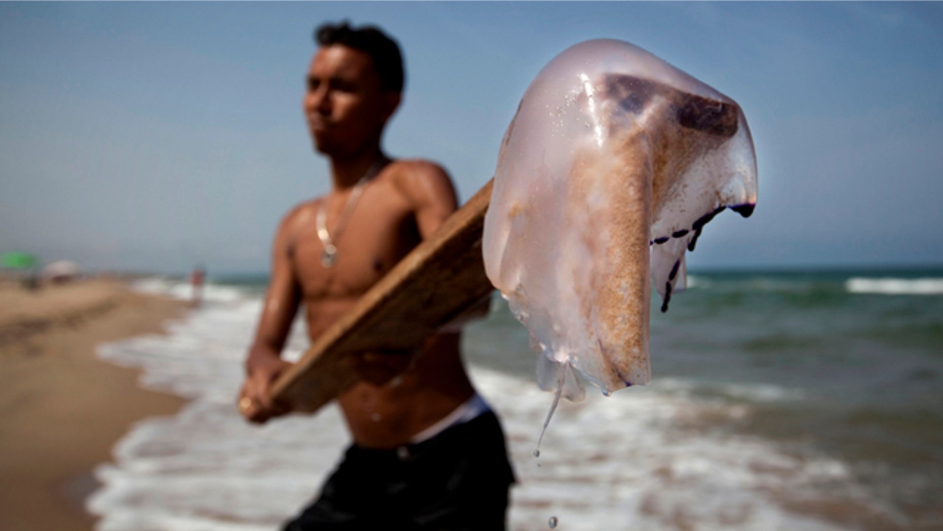 Aug. 11: A swimmer removes a jellyfish from the sea on a beach in El Perellonet, south of Valencia, Spain.