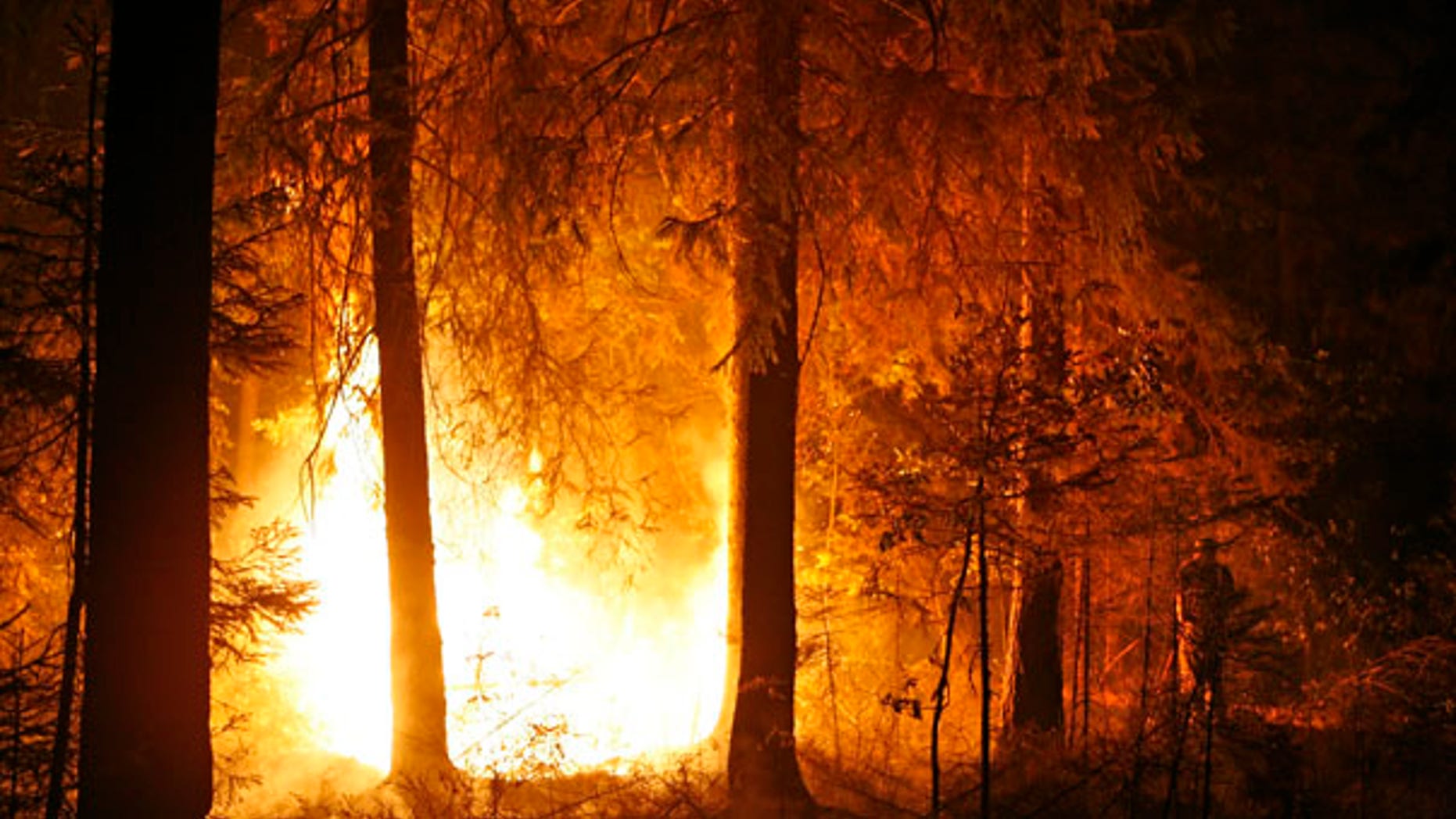 Aug. 13: A volunteer tries to extinguish a forest fire near the village of Kovrigino, about 45 miles east of Moscow.