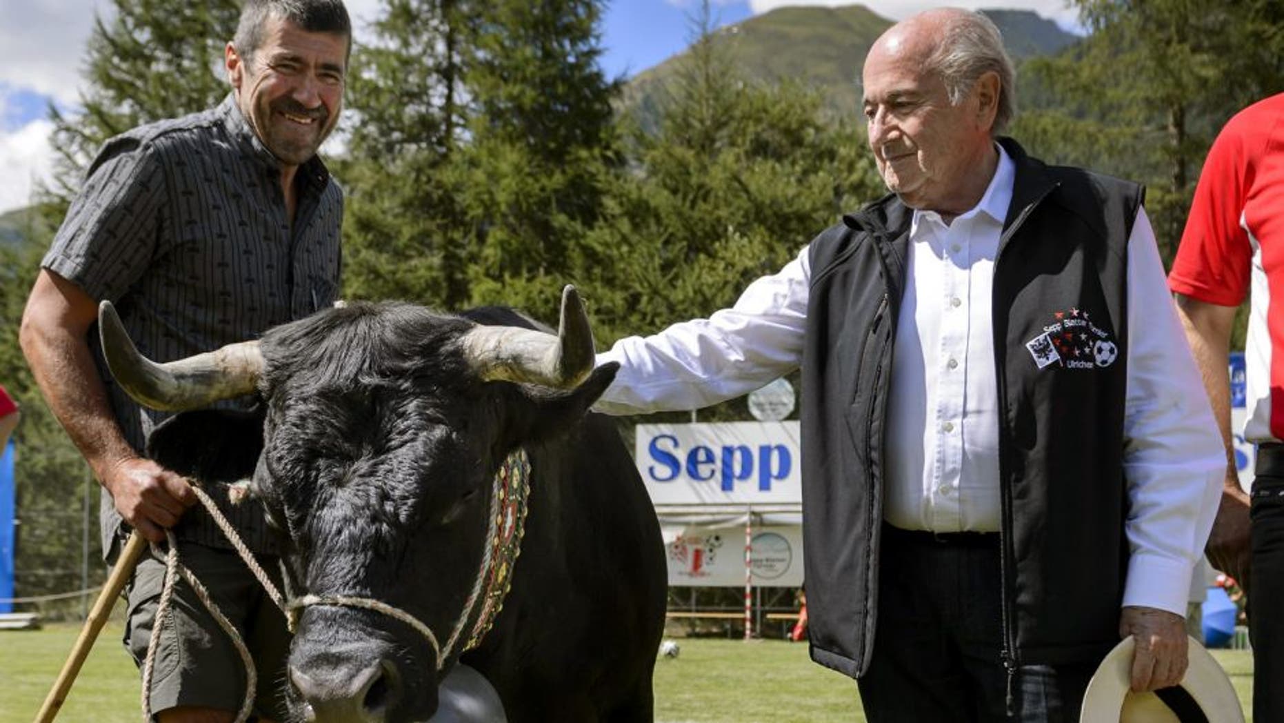 Outgoing FIFA president Sepp Blatter (R) pets a cow named "Colombo" he received as a gift during the "Sepp Blatter Tournament" on August 22, 2015 in Ulrichen, Blatter's hometown. When Blatter was elected FIFA President in 1998, the town awarded him with the "honorary burgher" of Ulrichen title and to commemorate the occasion, a football tournament bearing his name was created. AFP PHOTO / FABRICE COFFRINI (Photo credit should read FABRICE COFFRINI/AFP/Getty Images)