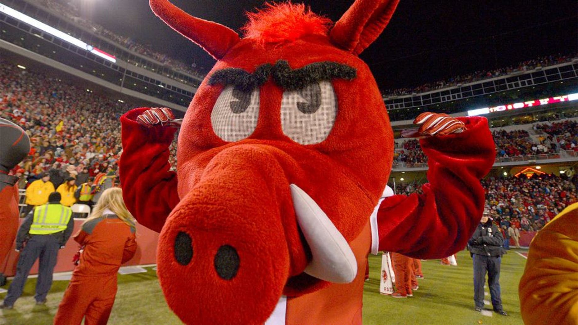 Nov 15, 2014; Fayetteville, AR, USA; Arkansas Razorbacks mascot "Big Red" during the second half of the game between the Arkansas Razorbacks and the LSU Tigers at Donald W. Reynolds Razorback Stadium. The Arkansas Razorbacks defeat the LSU Tigers 17-0. Mandatory Credit: Jasen Vinlove-USA TODAY Sports