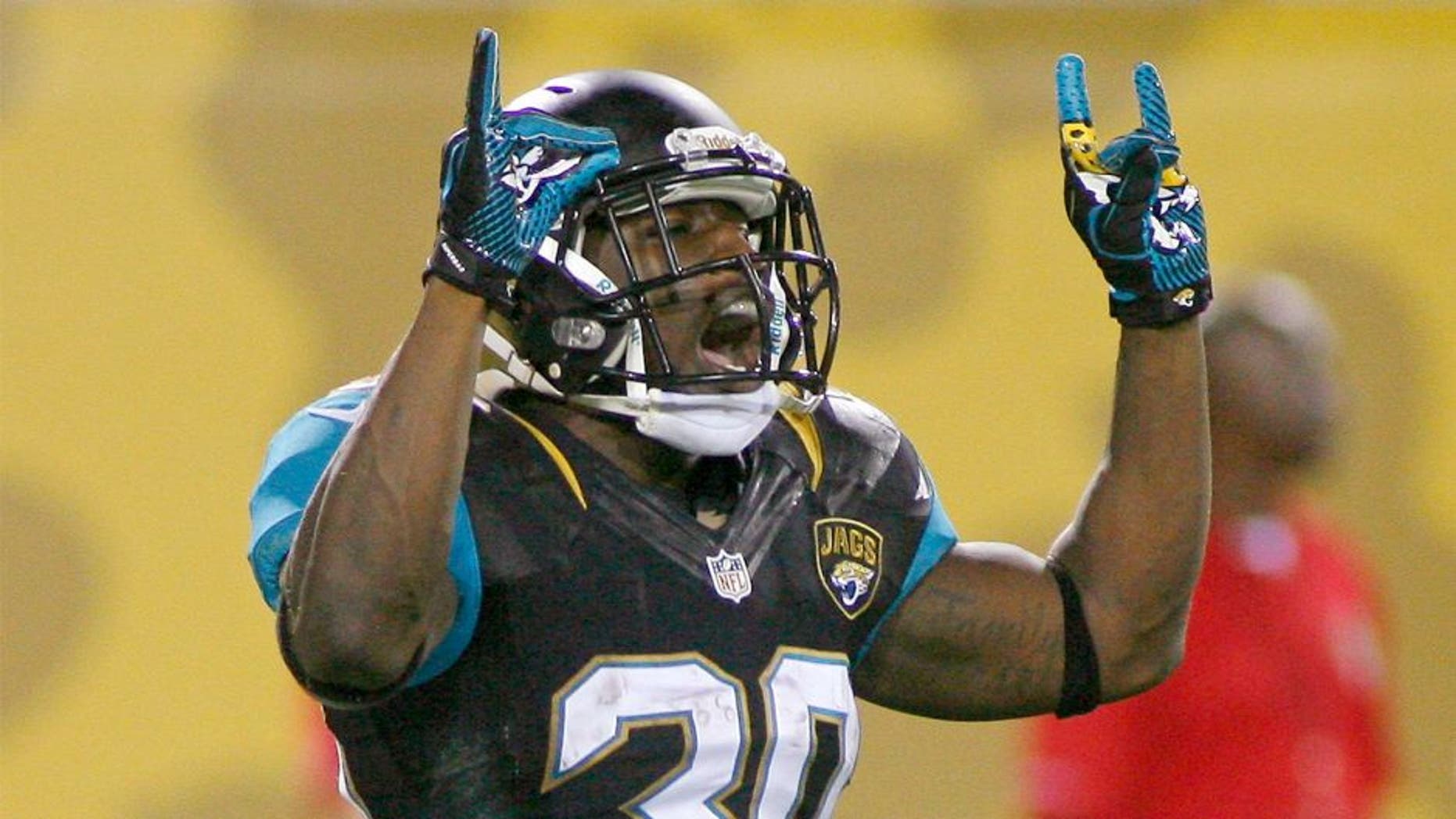 Dec 5, 2013; Jacksonville, FL, USA; Jacksonville Jaguars running back Jordan Todman (30) celebrates after catching a 21-yard touchdown pass thrown by wide receiver Ace Sanders (not pictured) in the third quarter against the Houston Texans at EverBank Field. Mandatory Credit: Phil Sears-USA TODAY Sports