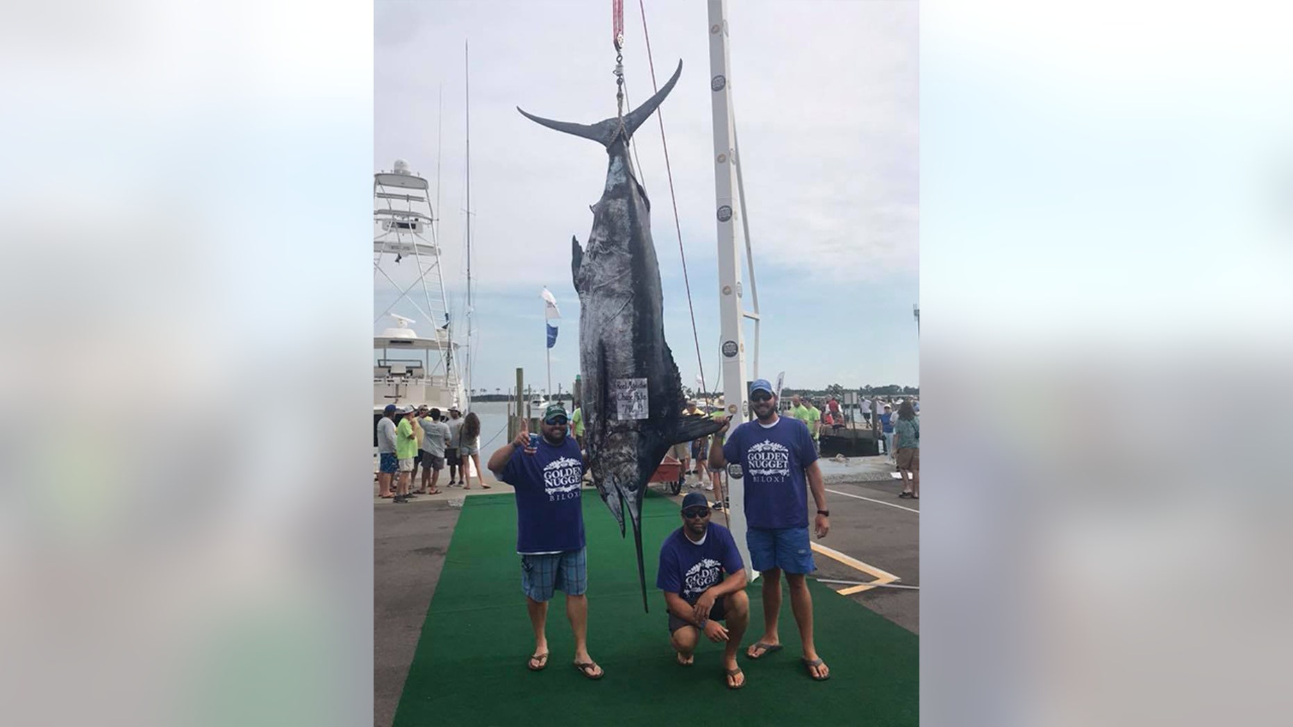 Reel Addiction crew member celebrate their competition winning catch, a massive 796-pound blue marlin.