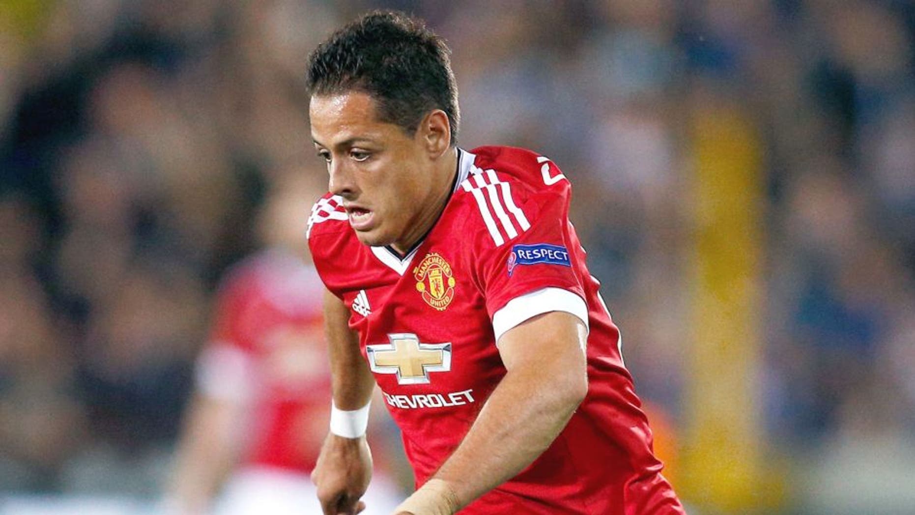 BRUGGE, BELGIUM - AUGUST 26: Javier Hernandez of Manchester United in action during the UEFA Champions League qualifying round play off 2nd leg match between Club Brugge and Manchester United held at Jan Breydel Stadium on August 26, 2015 in Brugge, Belgium. (Photo by Dean Mouhtaropoulos/Getty Images)