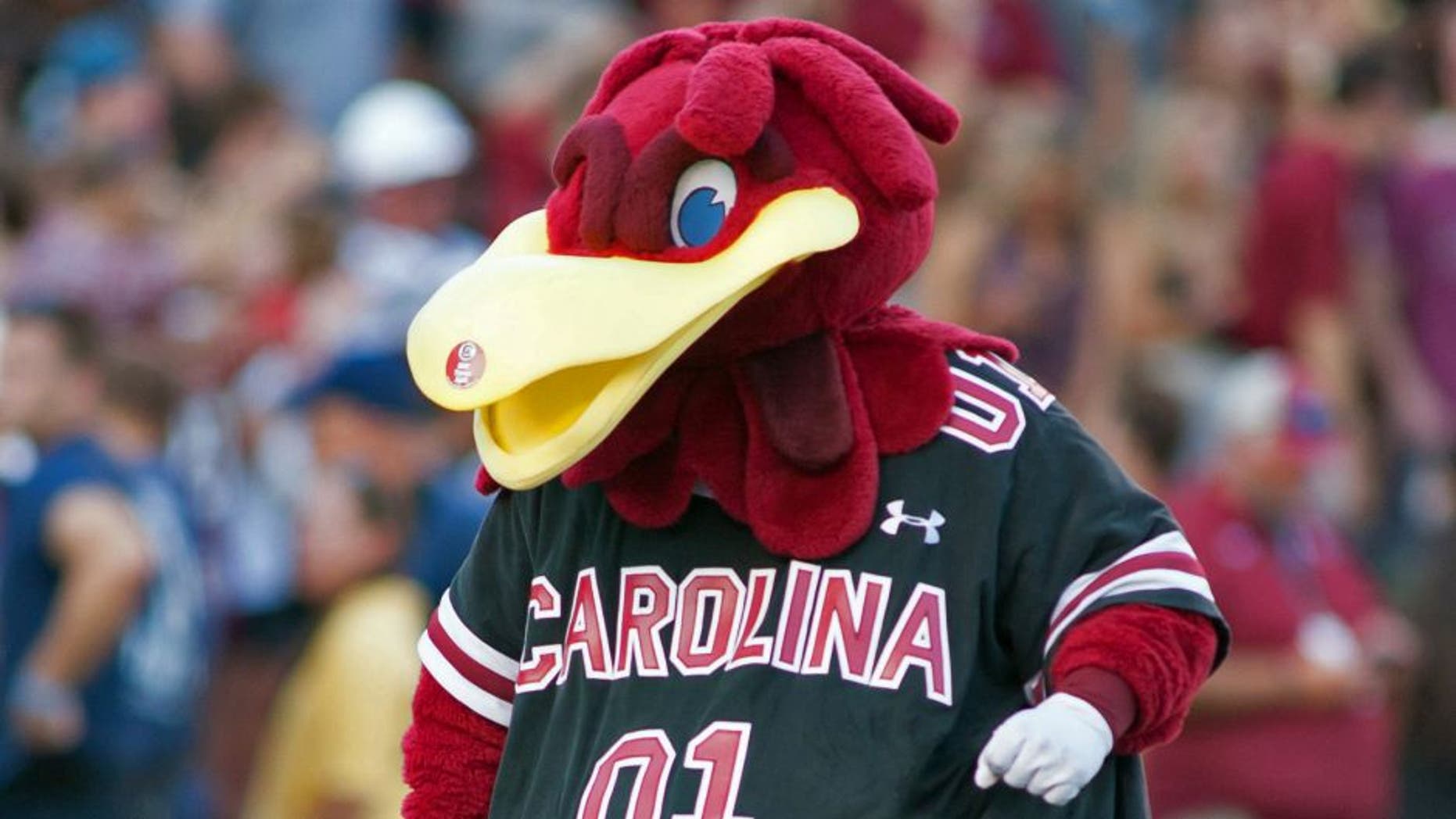Aug 28, 2014; Columbia, SC, USA; The South Carolina Gamecocks mascot dances on the field after a score during the second quarter against the Texas A&M Aggies at Williams-Brice Stadium. Mandatory Credit: Jeremy Brevard-USA TODAY Sports
